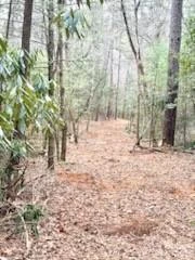 0 GREEN RIVER Road - Photo 27