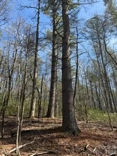 0 GREEN RIVER Road - Photo 5