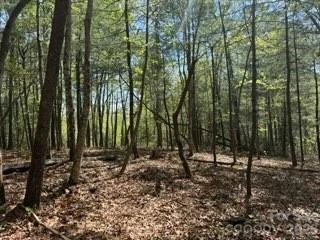 0 GREEN RIVER Road - Photo 6