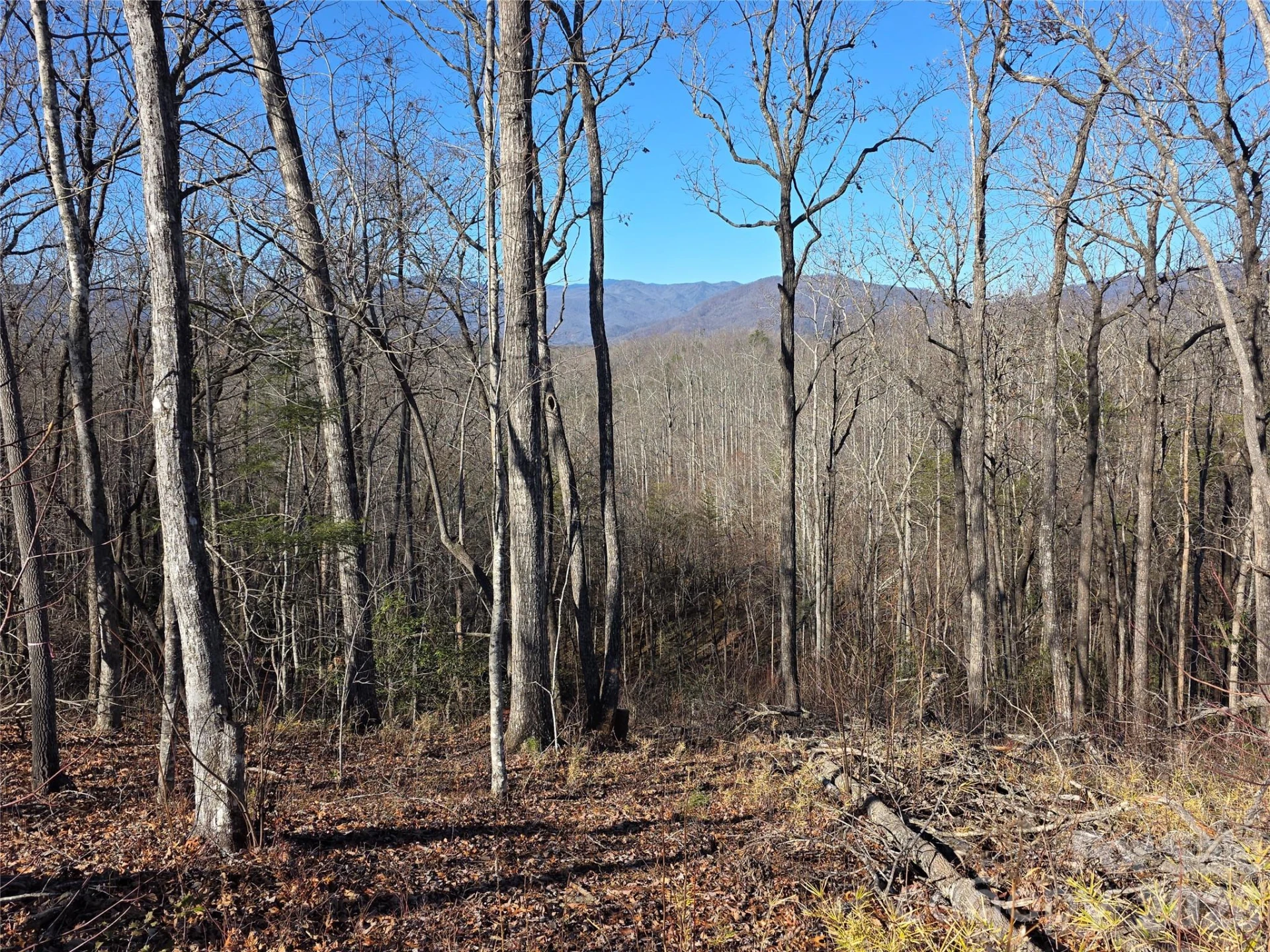 Lot 2 Warren Ridge Road - Photo 3