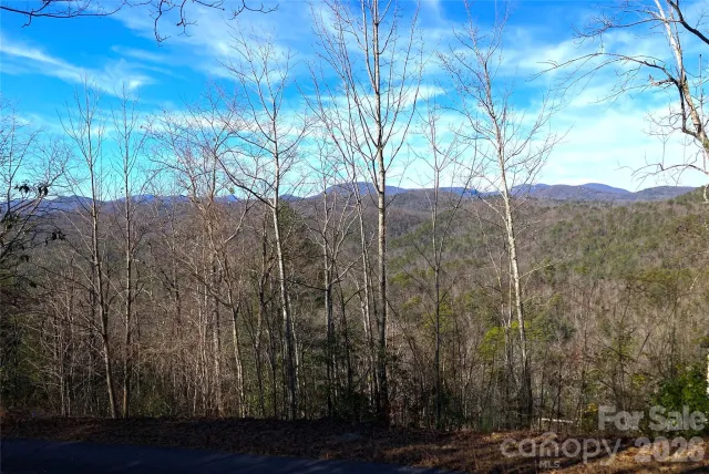 TBD Ruffed Grouse Road