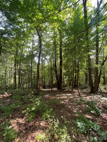 Lot # 21 Haverhill Court, Flat Rock, NC, 28731