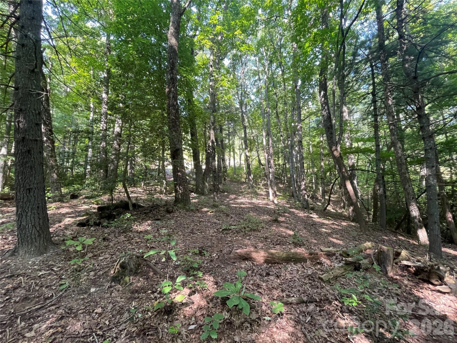 Lot # 21 Haverhill Court #21 - Photo 14