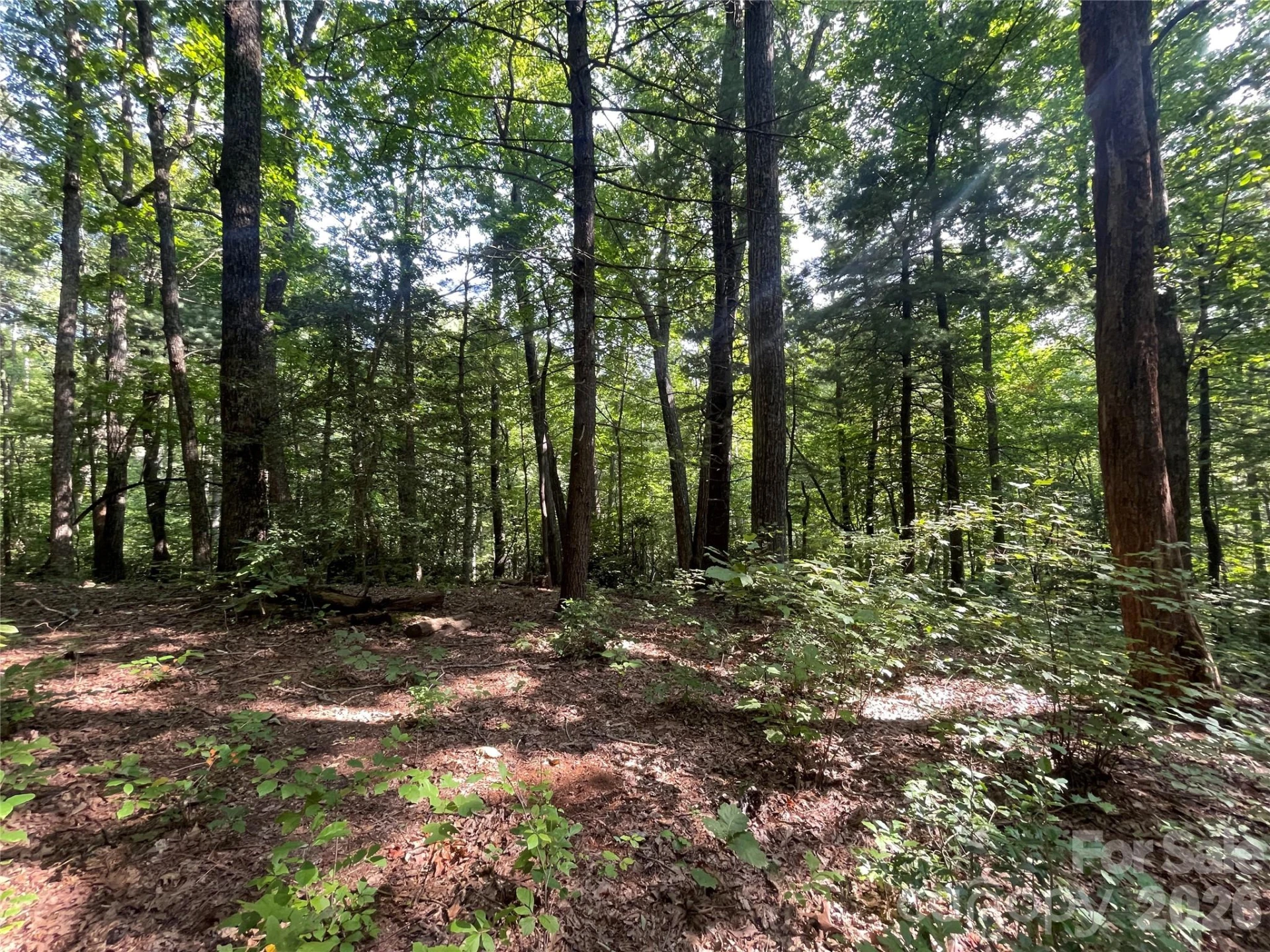 Lot # 21 Haverhill Court #21 - Photo 19