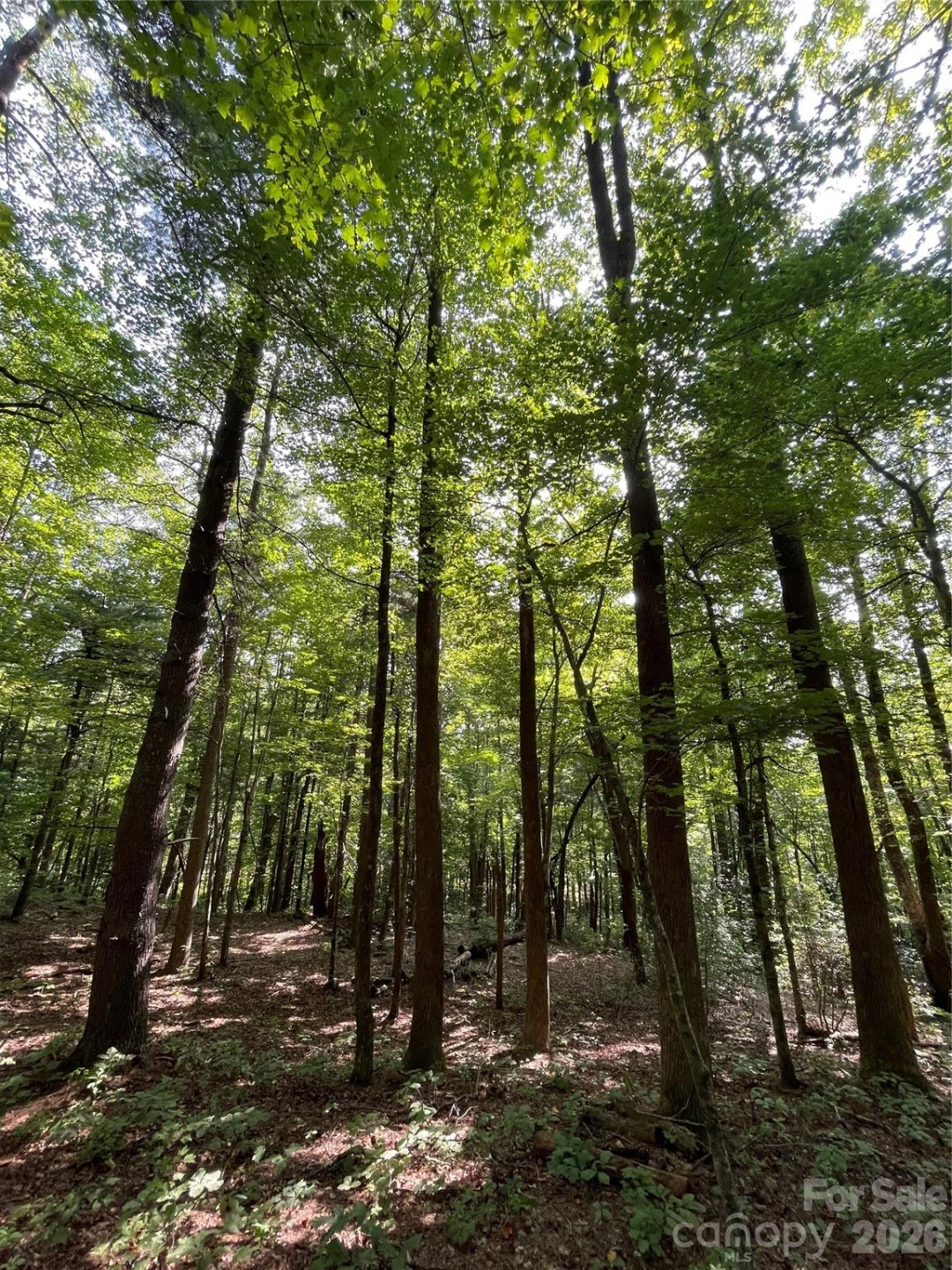 Lot 20 Haverhill Court #20 - Photo 2