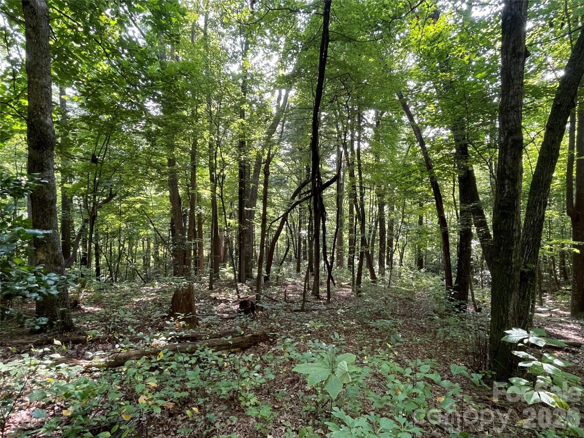 Lot 20 Haverhill Court #20 - Photo 17