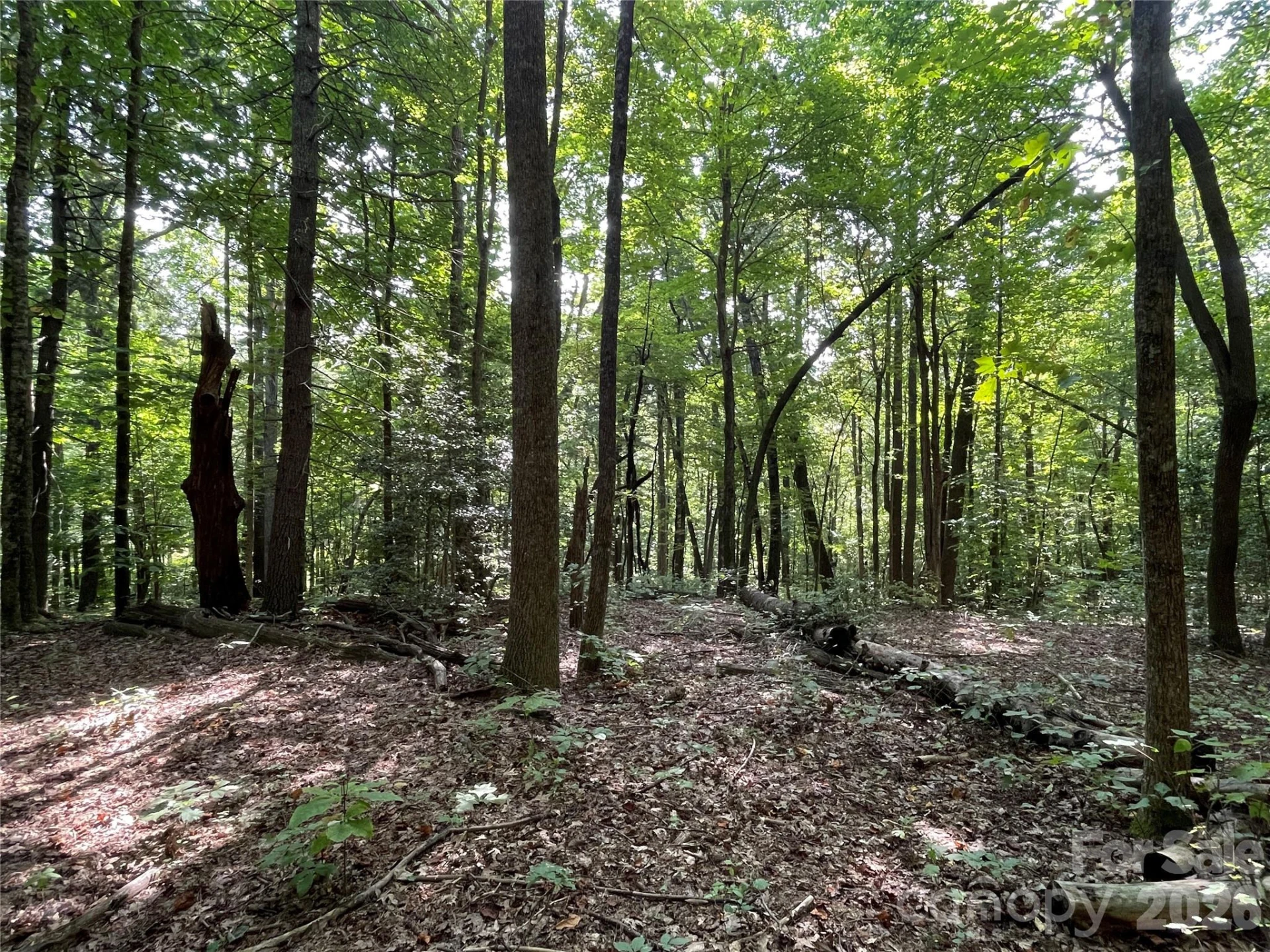 Lot 20 Haverhill Court #20 - Photo 20