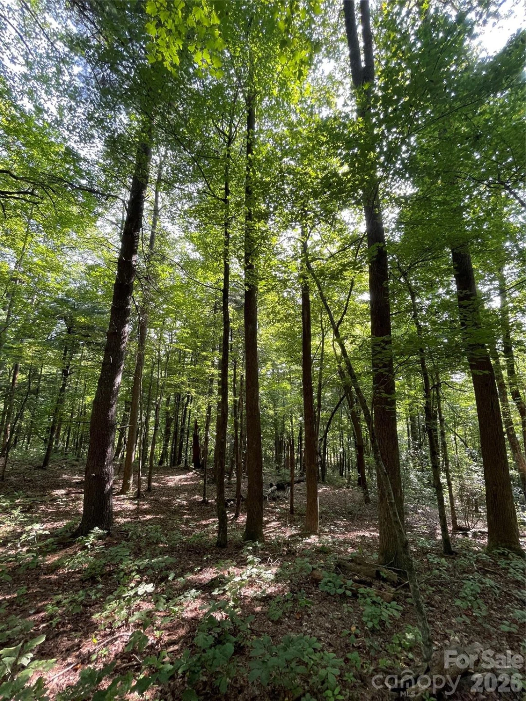 Lot 20 Haverhill Court #20 - Photo 3