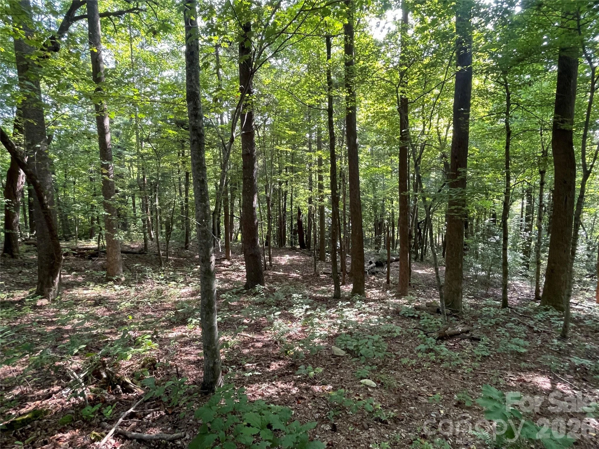 Lot 20 Haverhill Court #20 - Photo 23