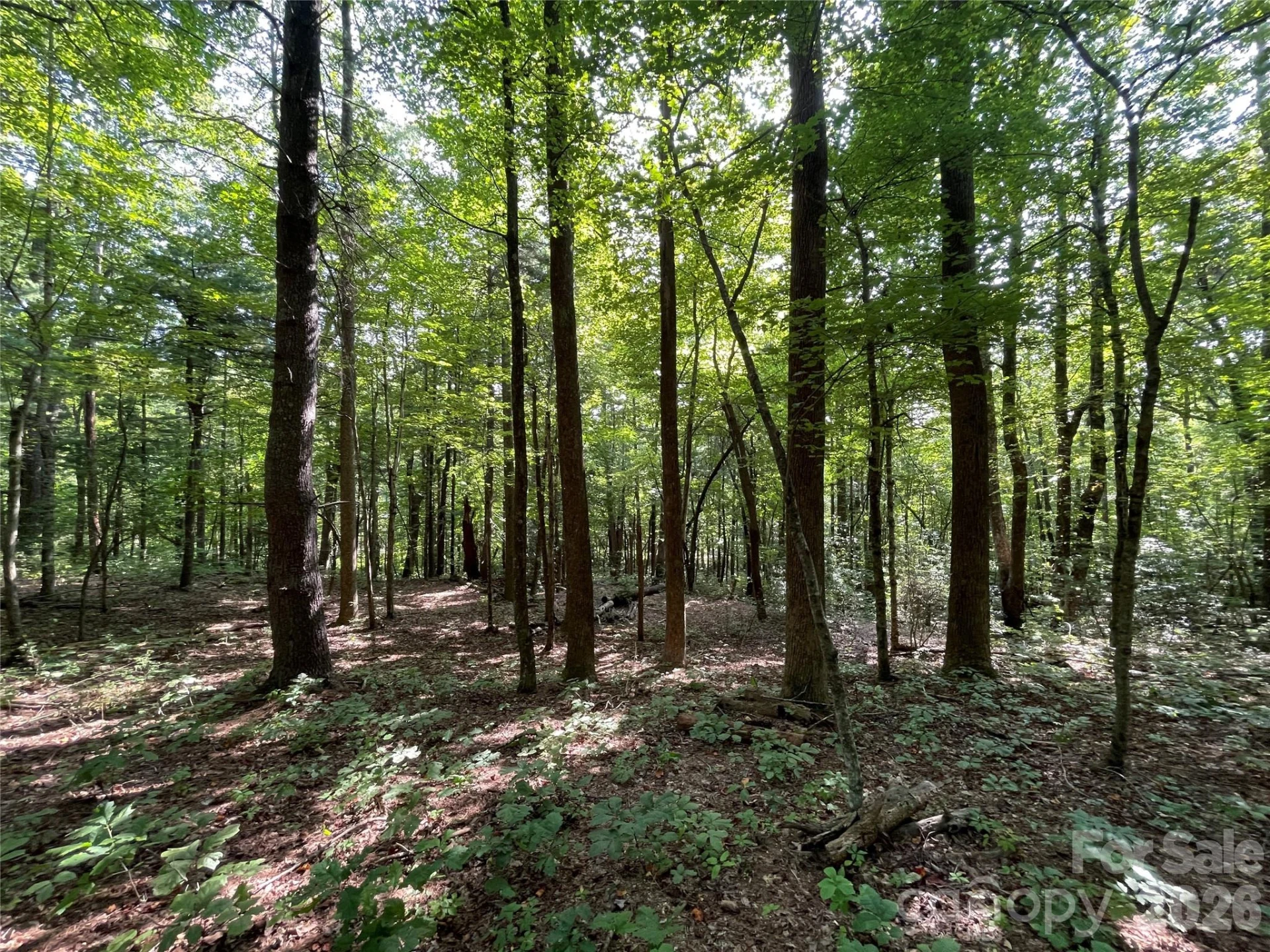Lot 20 Haverhill Court #20 - Photo 5