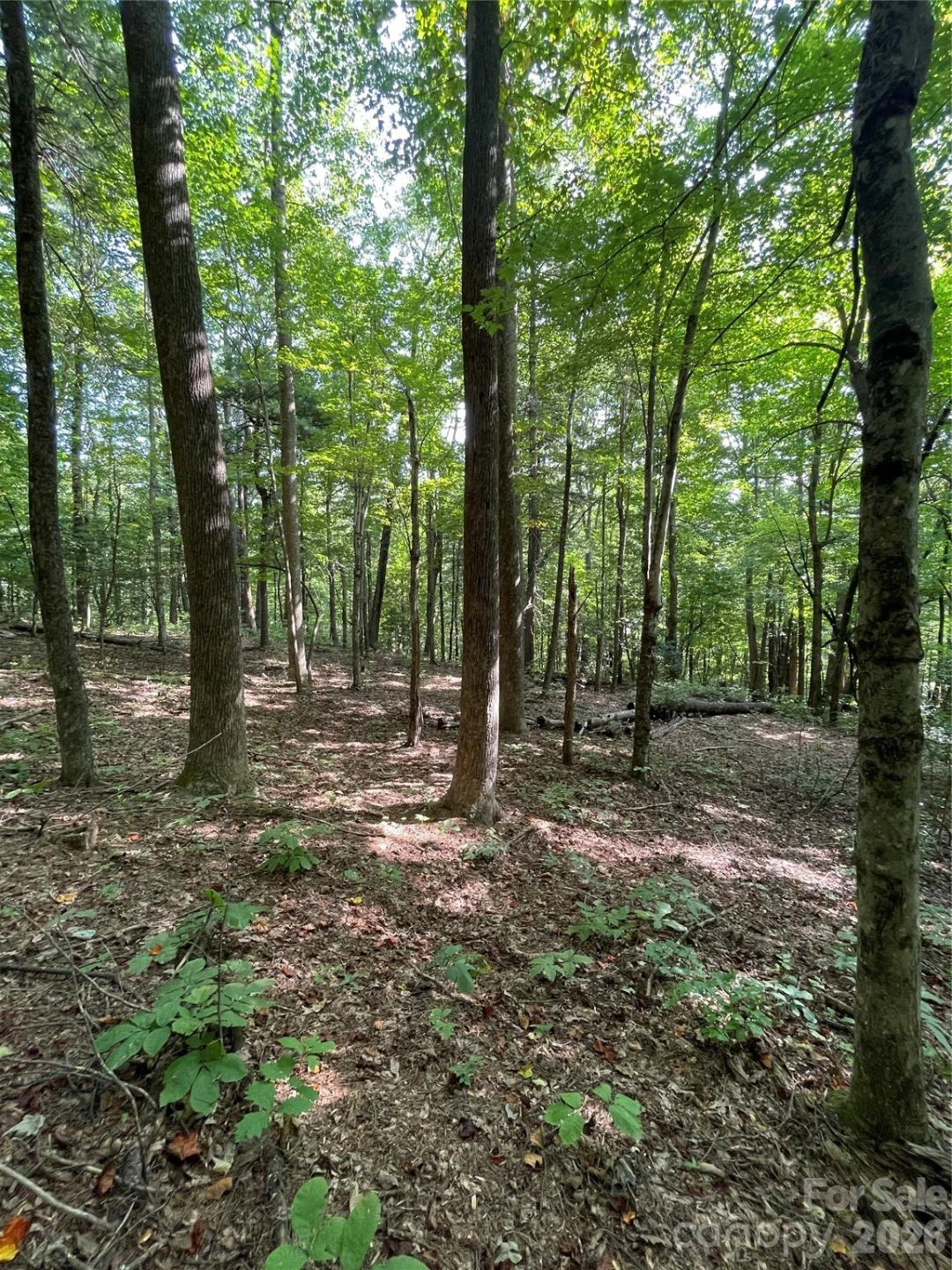 Lot 20 Haverhill Court #20 - Photo 6