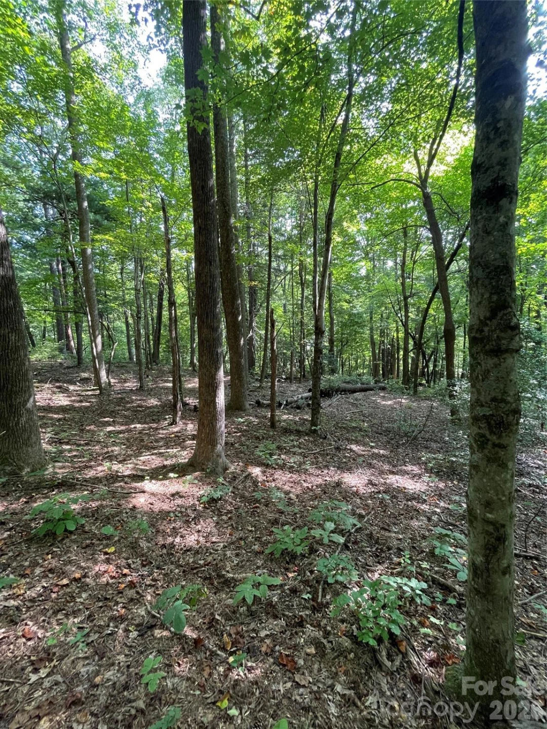 Lot 20 Haverhill Court #20 - Photo 7