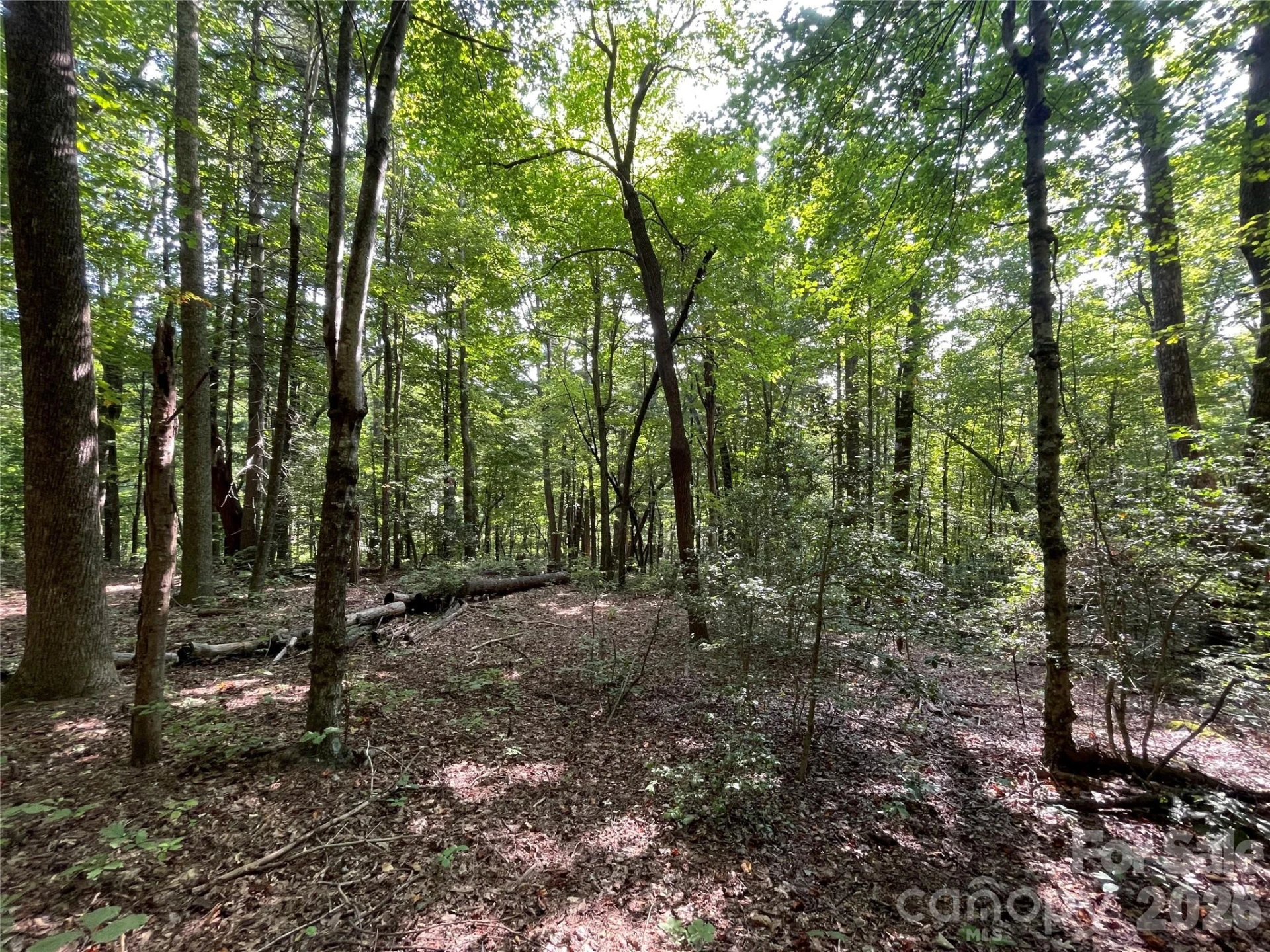 Lot 20 Haverhill Court #20 - Photo 8