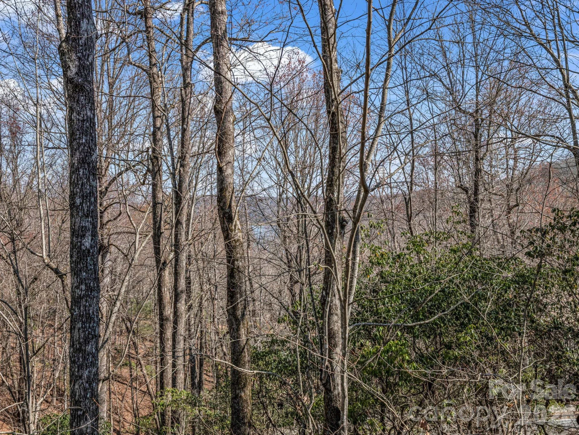 177 Tsisqua Circle - Photo 22
