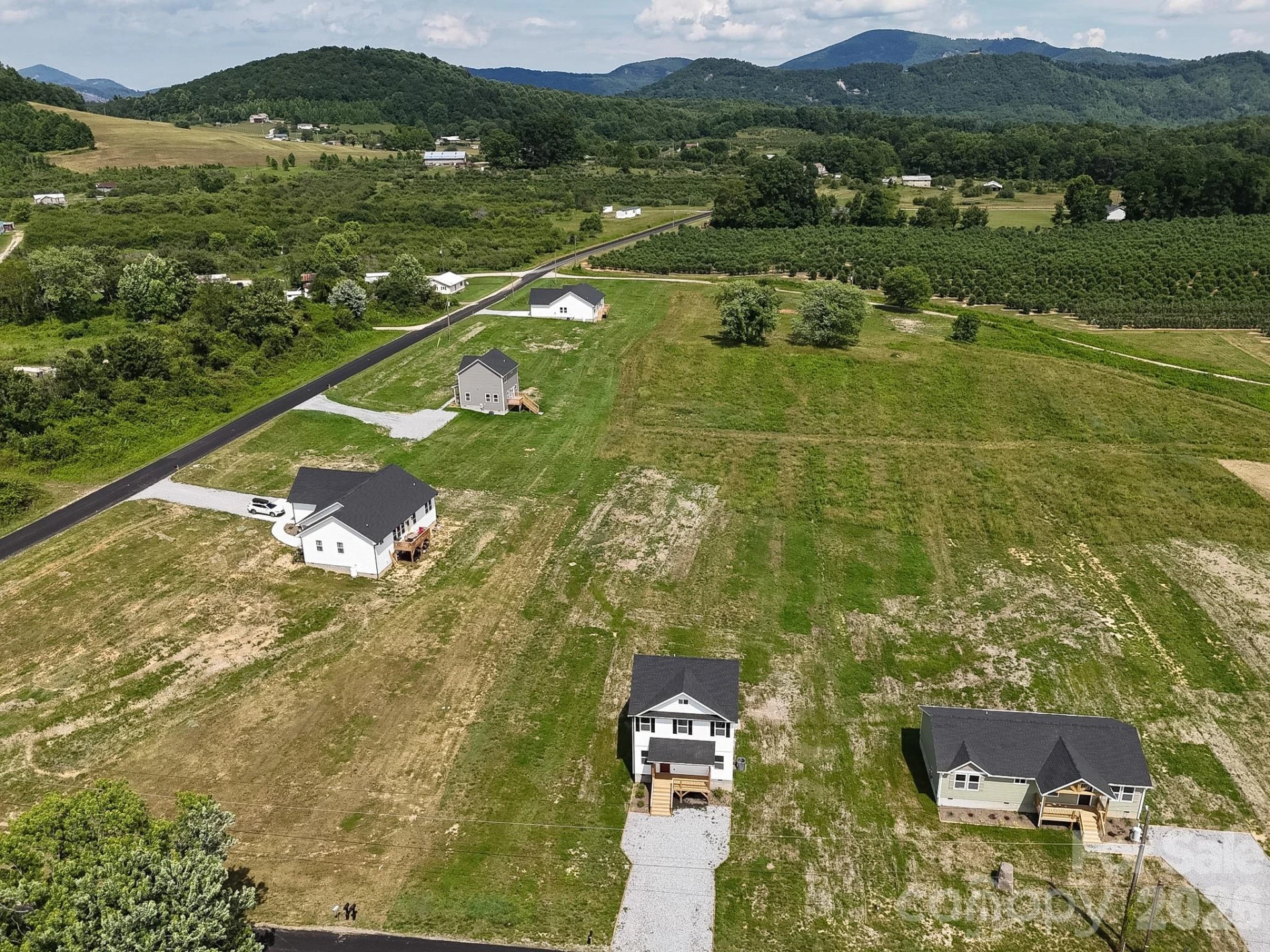 696 Beehive Road - Photo 5
