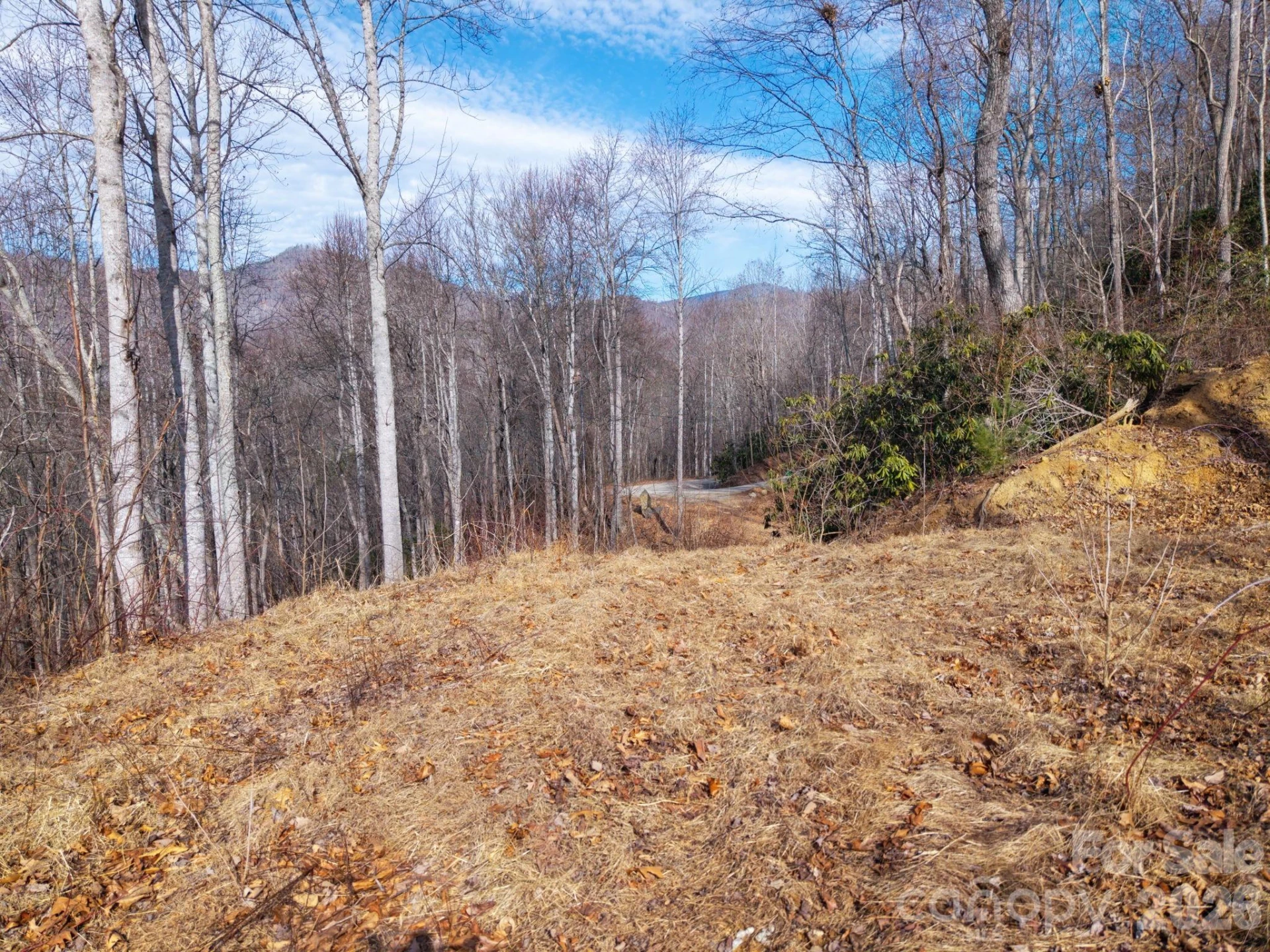 000 Bee Tree Road #103B