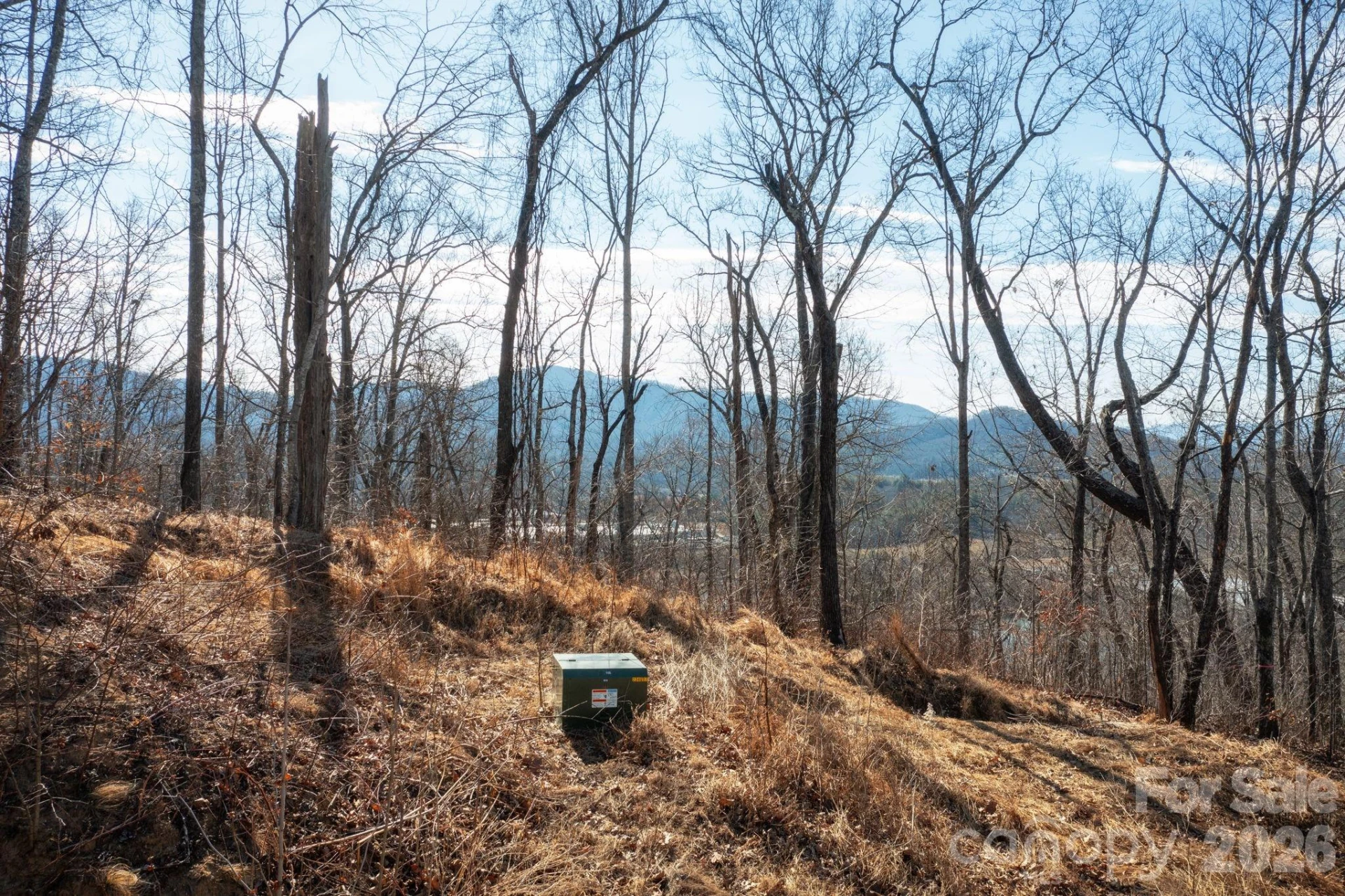 000 Bee Tree Road #103B - Photo 15