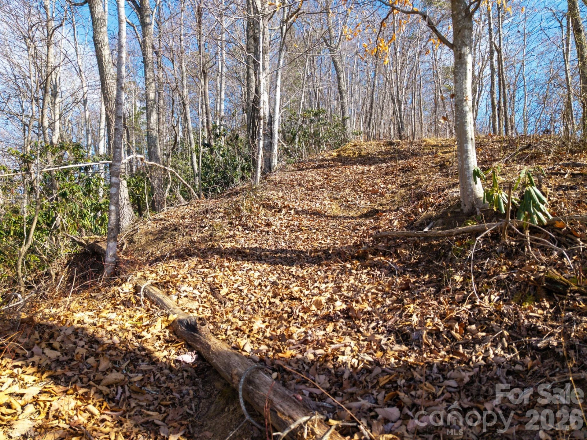 000 Bee Tree Road #103B - Photo 16
