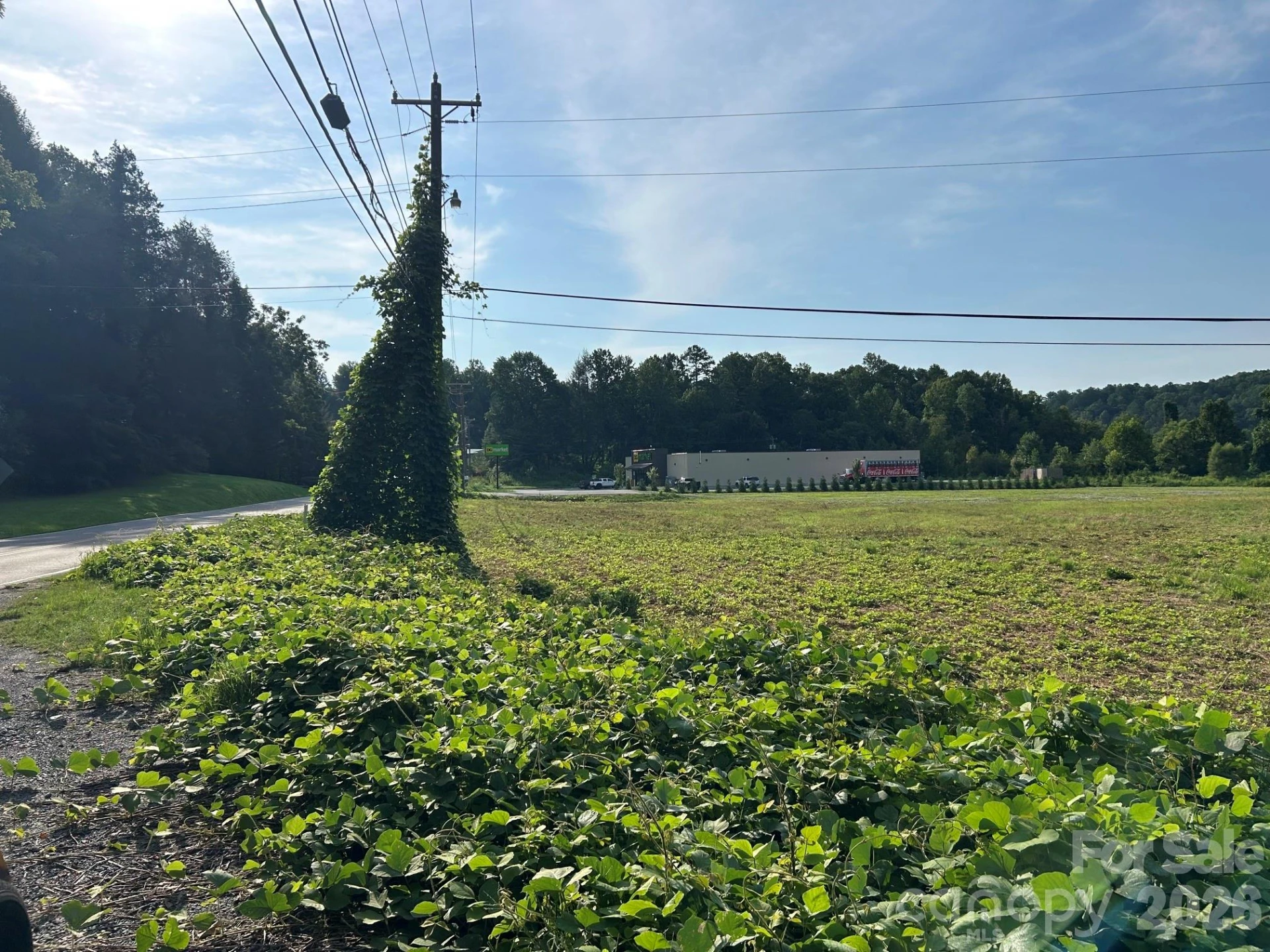 4450 US 70 Highway E - Photo 14