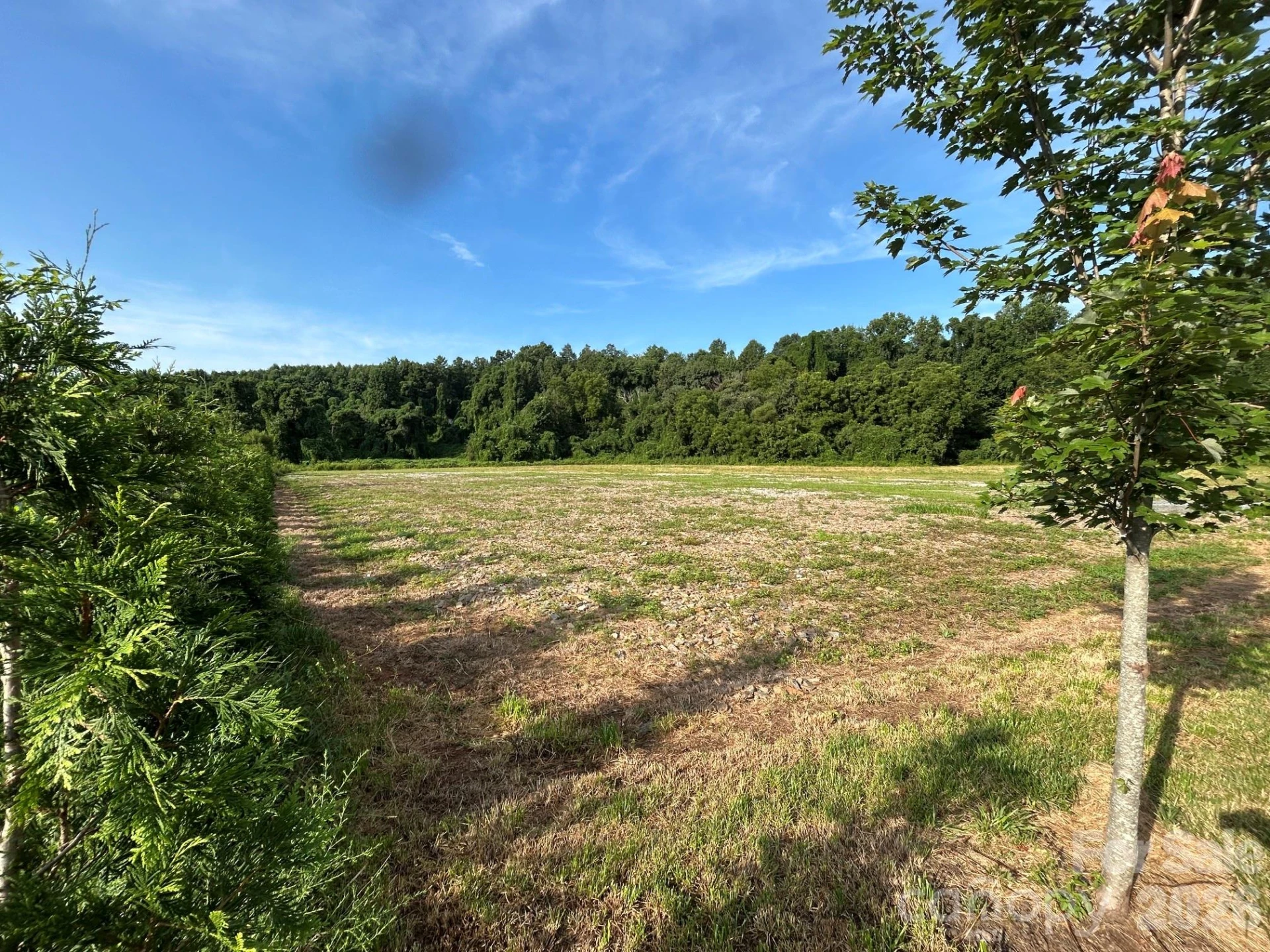 4450 US 70 Highway E - Photo 16