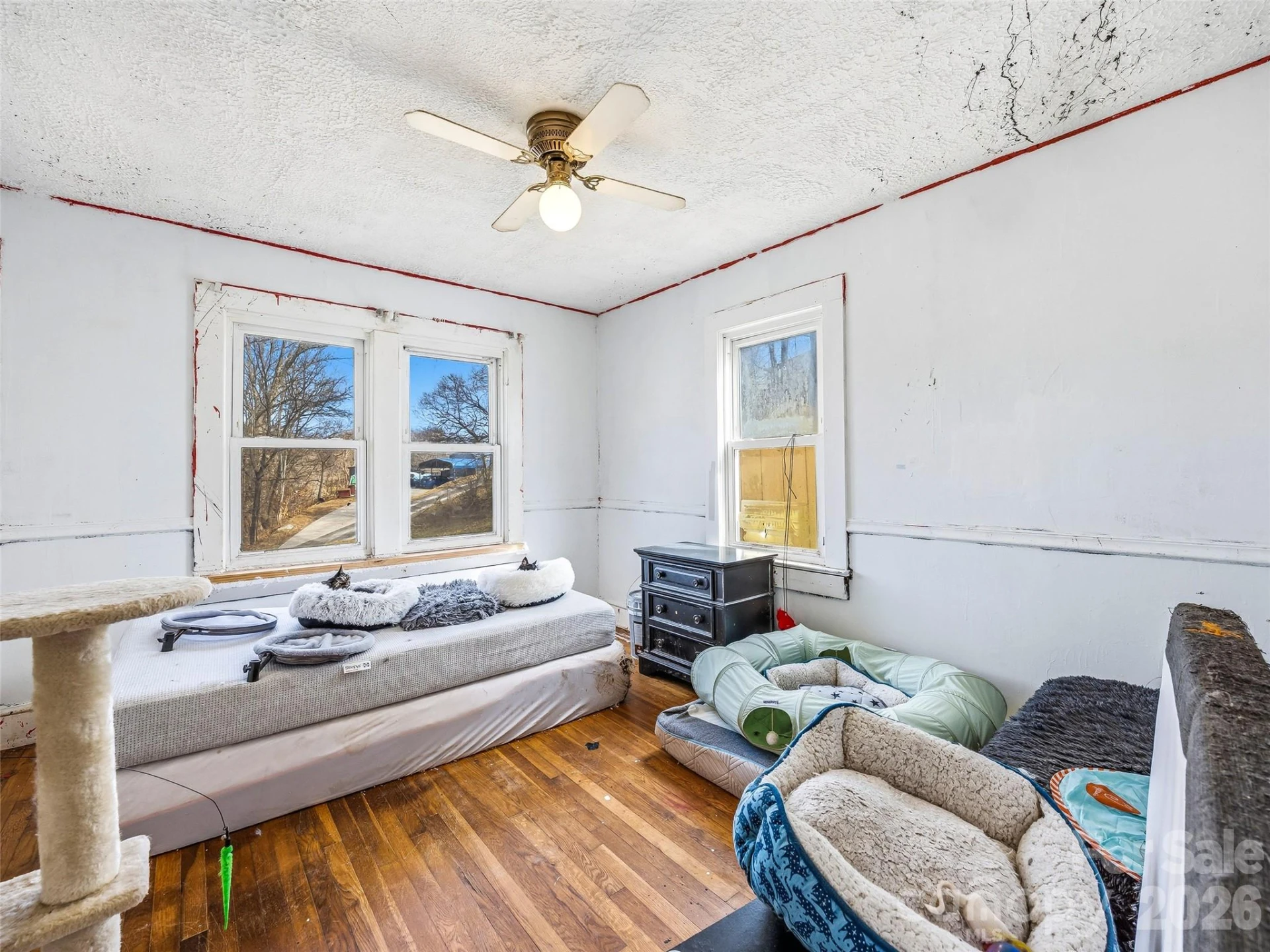 800 Murray Road - Photo 8