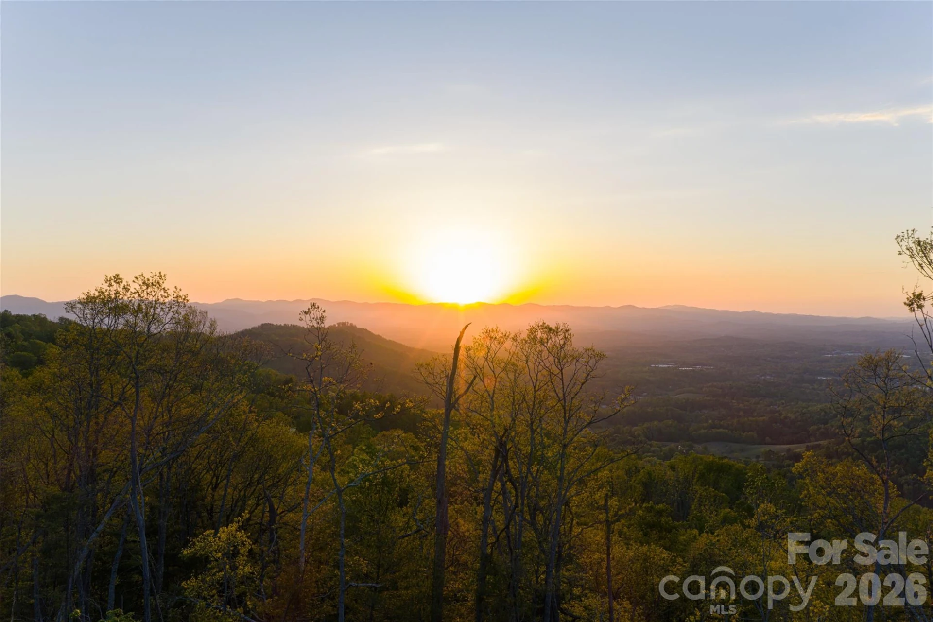 99999 Elk Mountain Scenic Highway #2 - Photo 21