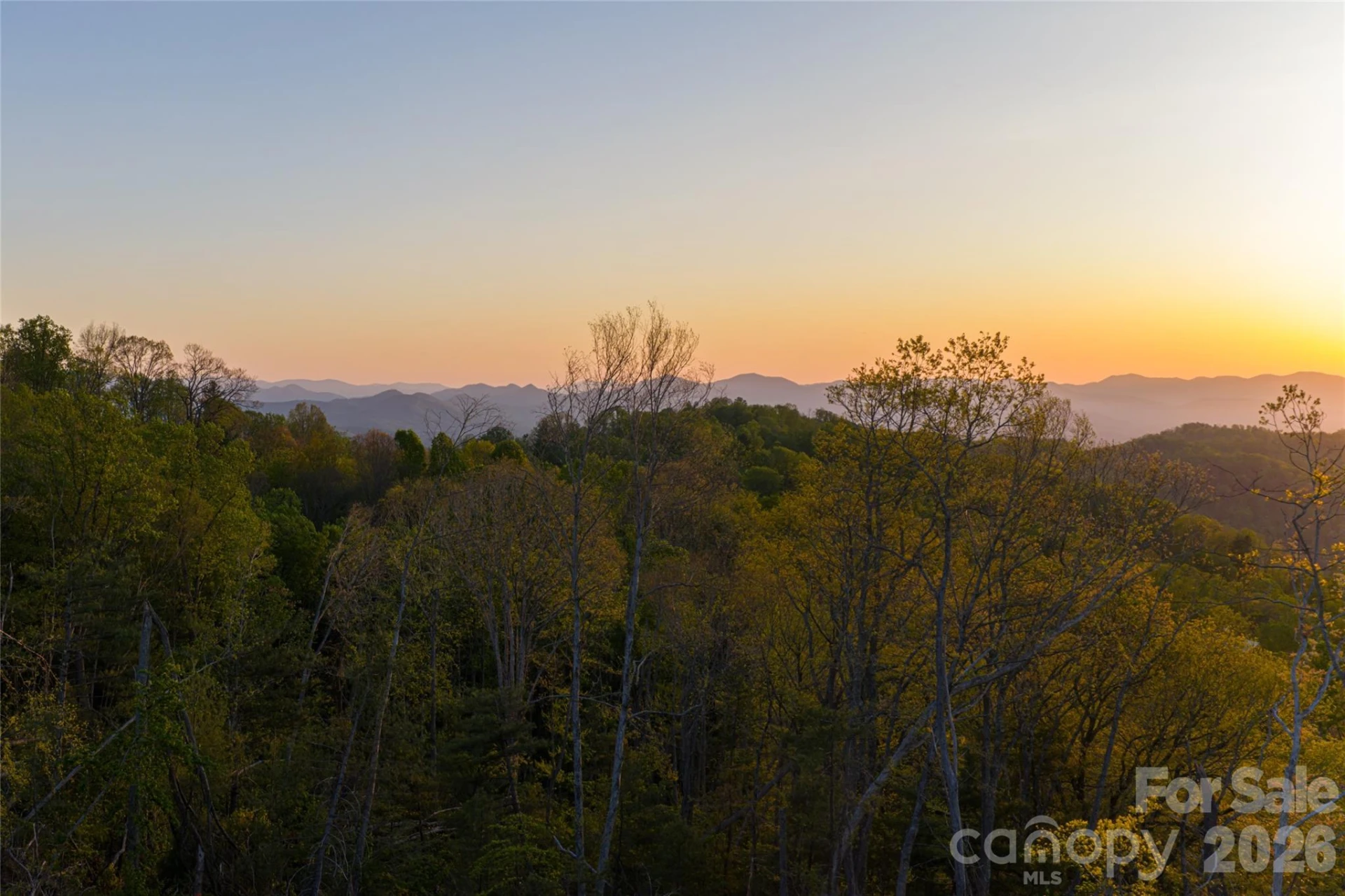 99999 Elk Mountain Scenic Highway #2 - Photo 23