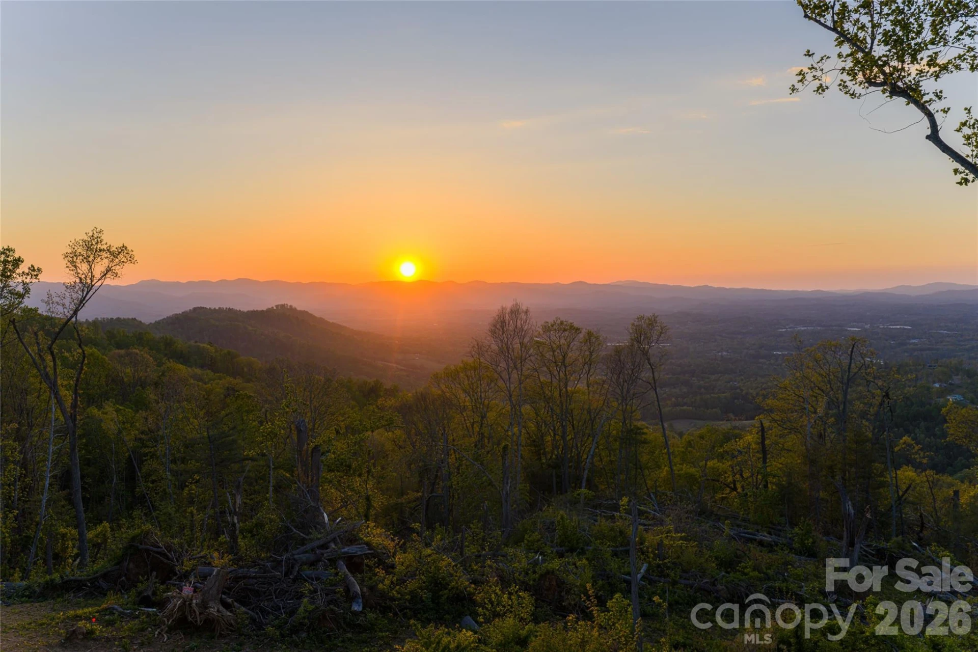 99999 Elk Mountain Scenic Highway #2 - Photo 25