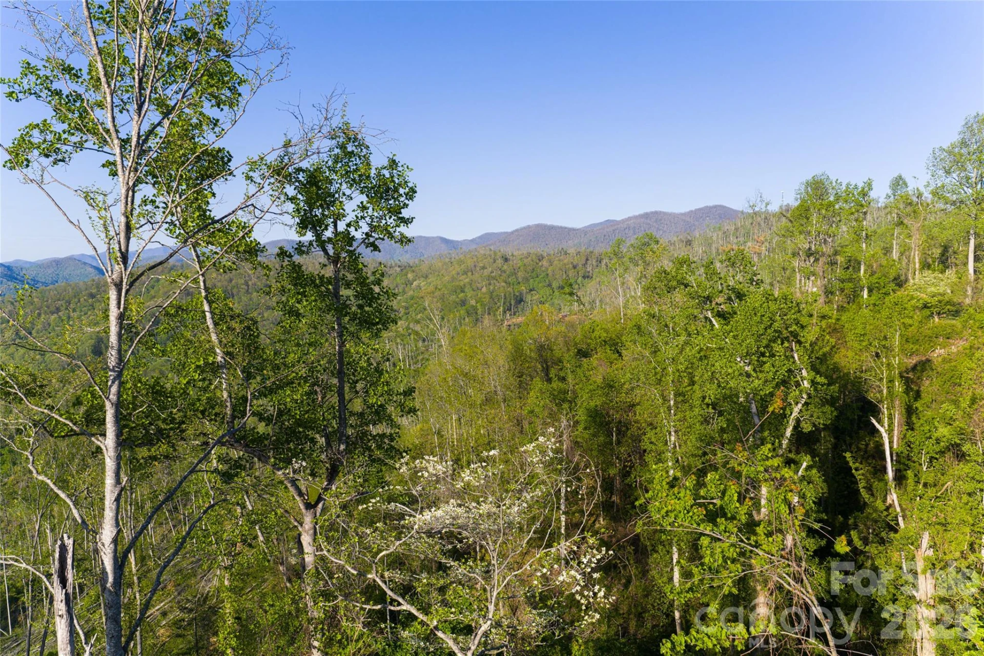99999 Elk Mountain Scenic Highway #2 - Photo 36