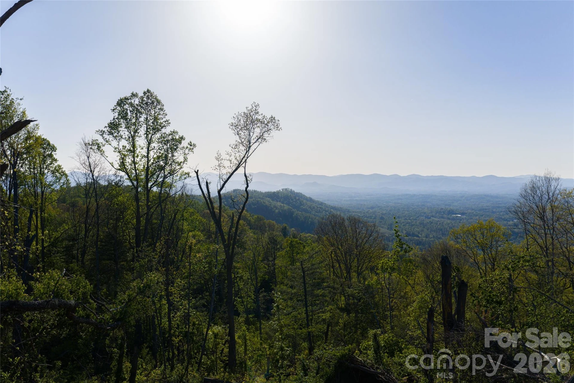 99999 Elk Mountain Scenic Highway #2 - Photo 40
