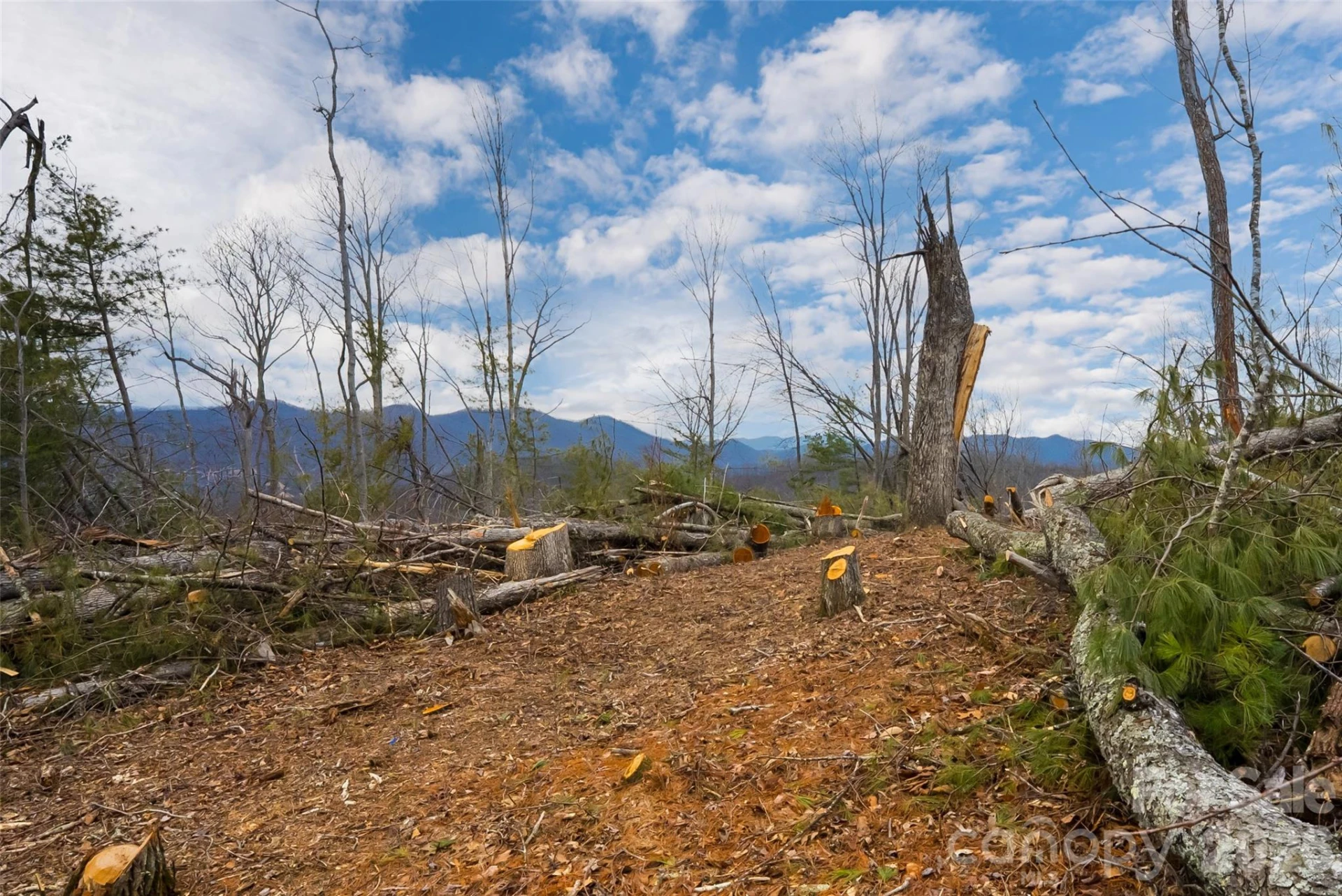 99999 Elk Mountain Scenic Highway #2 - Photo 13