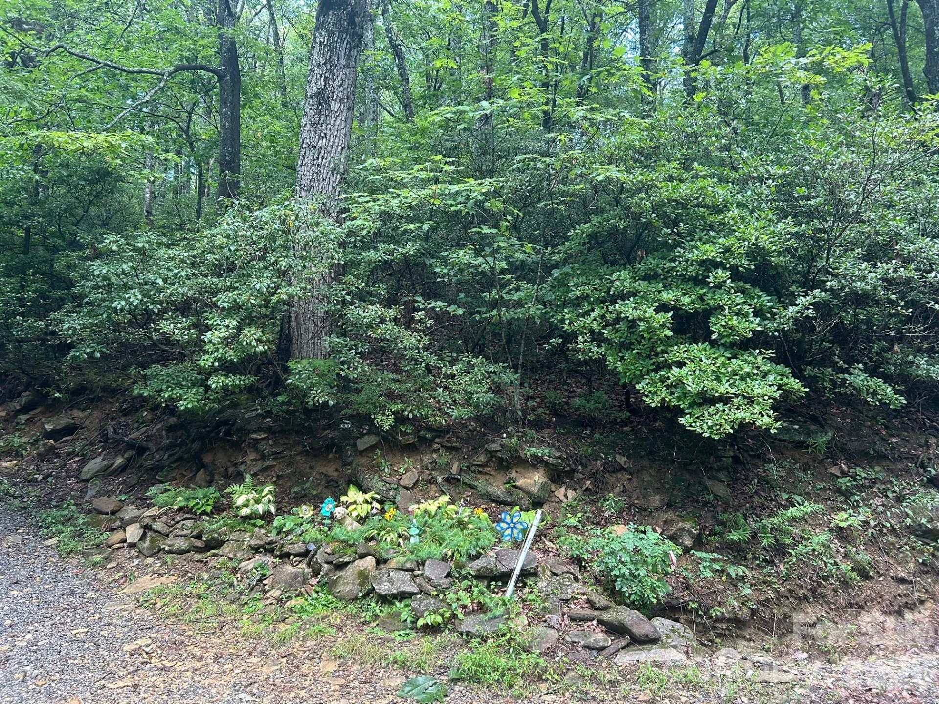 0 Pine Ridge Road #21 - Photo 3