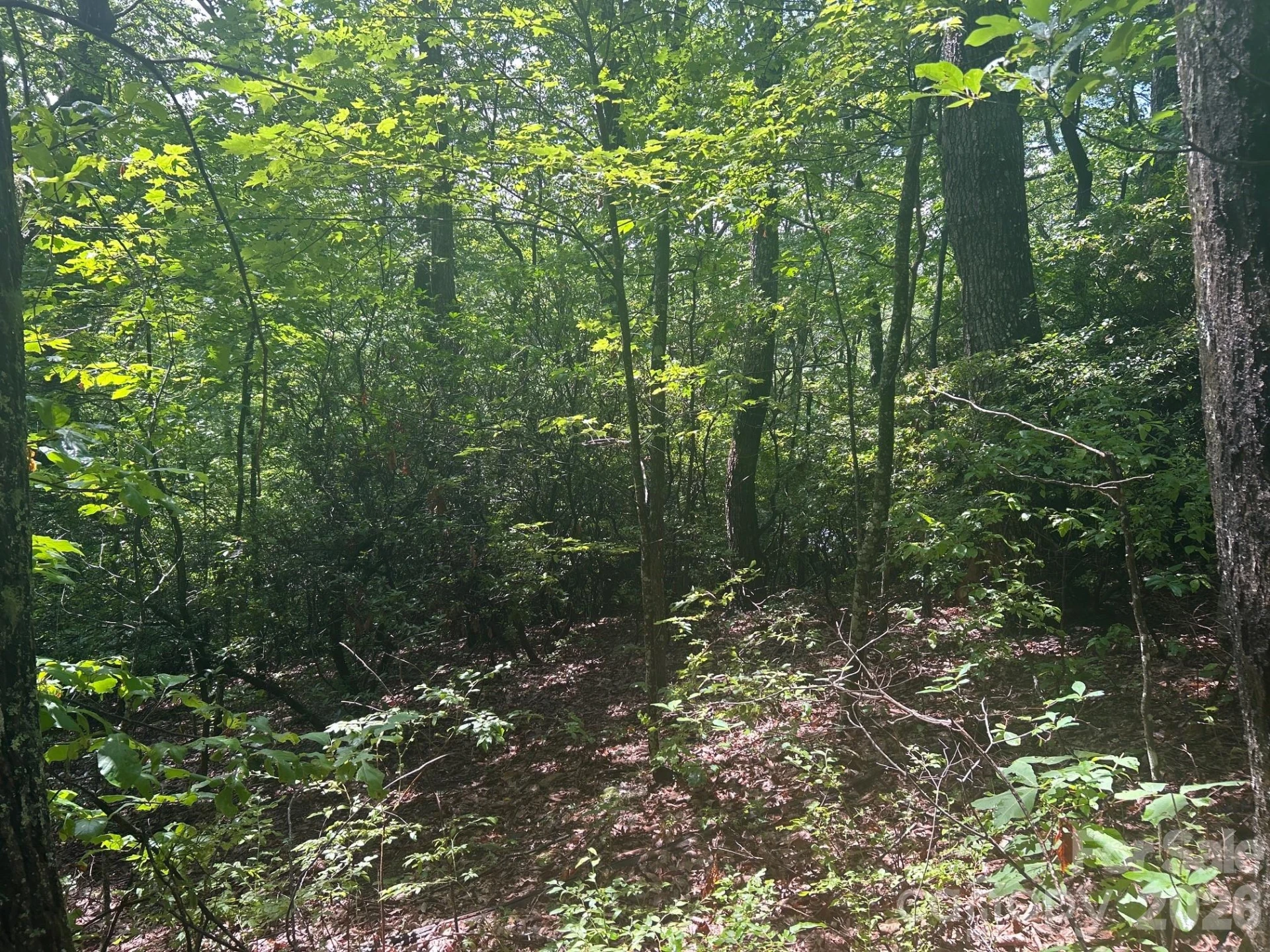 0 Pine Ridge Road #21 - Photo 4