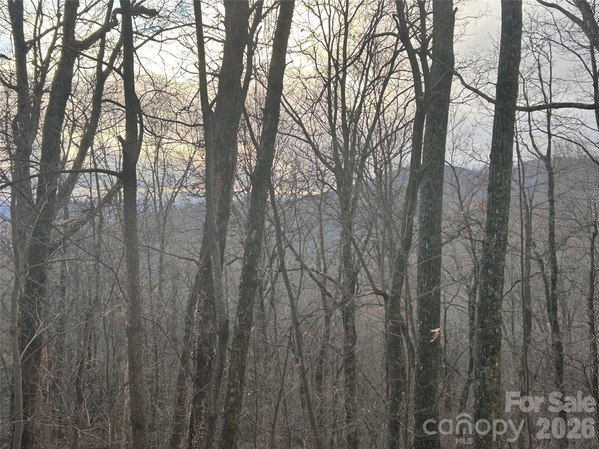 0 Pine Ridge Road #21 - Photo 14