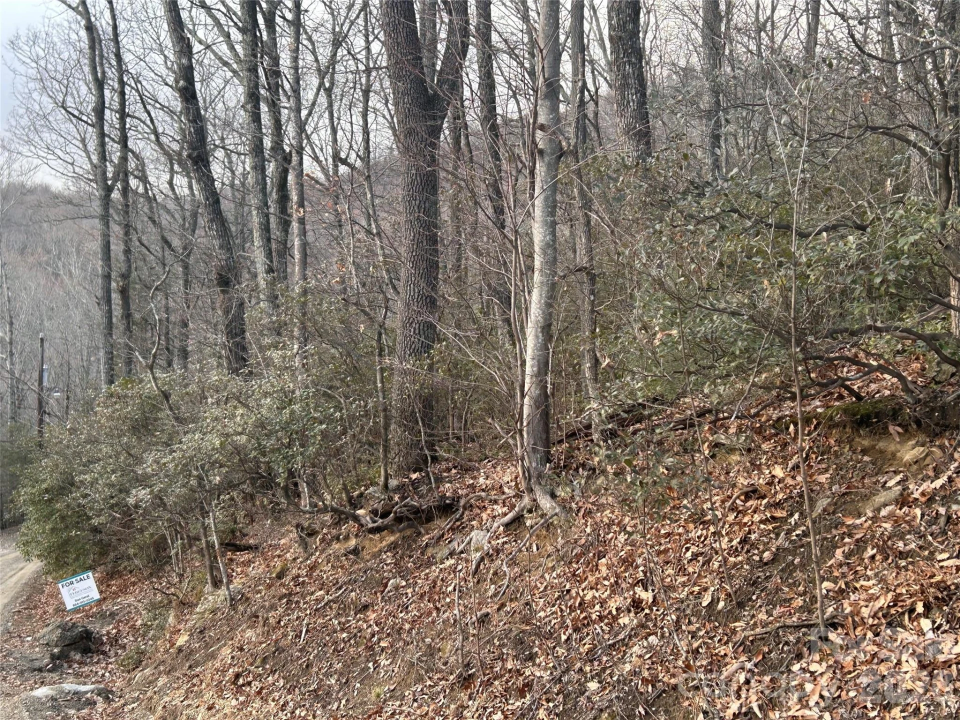 0 Pine Ridge Road #21 - Photo 15