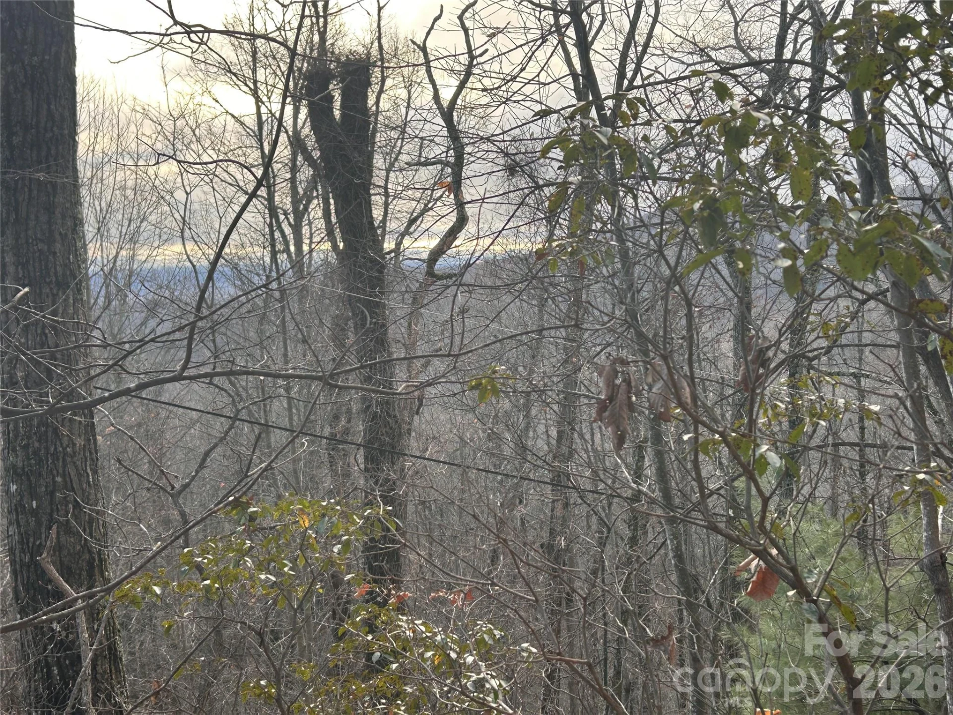 0 Pine Ridge Road #21 - Photo 2