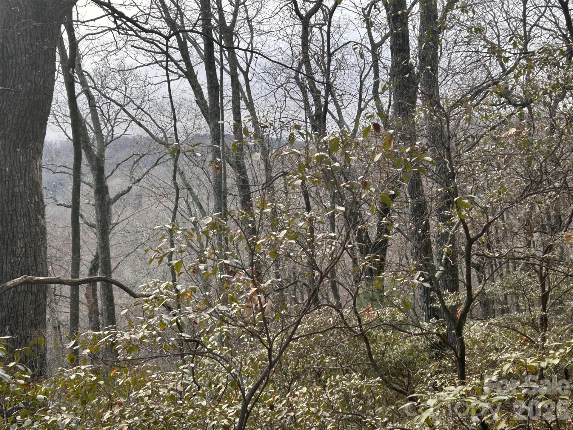 0 Pine Ridge Road #21 - Photo 19