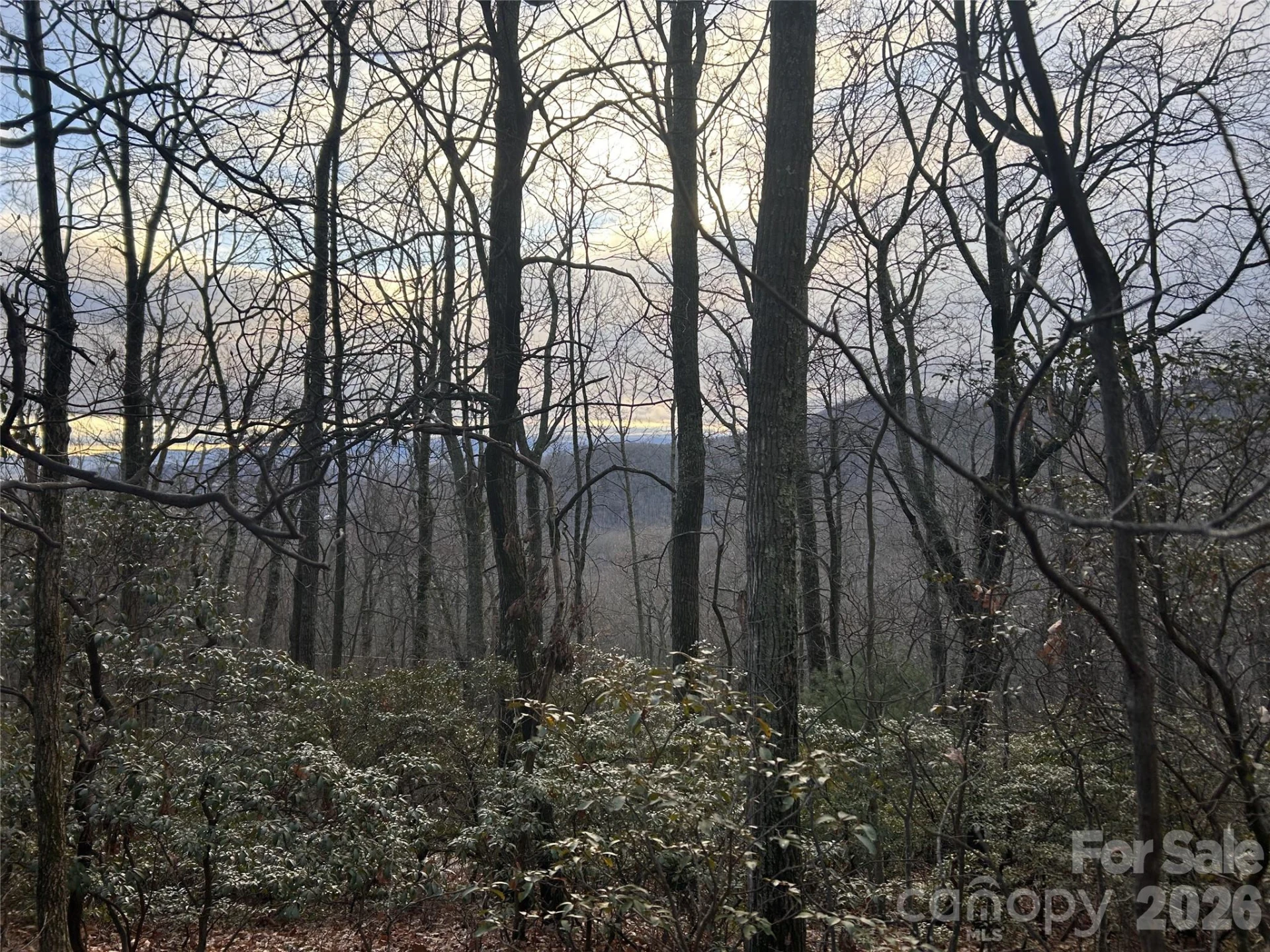 0 Pine Ridge Road #21 - Photo 20