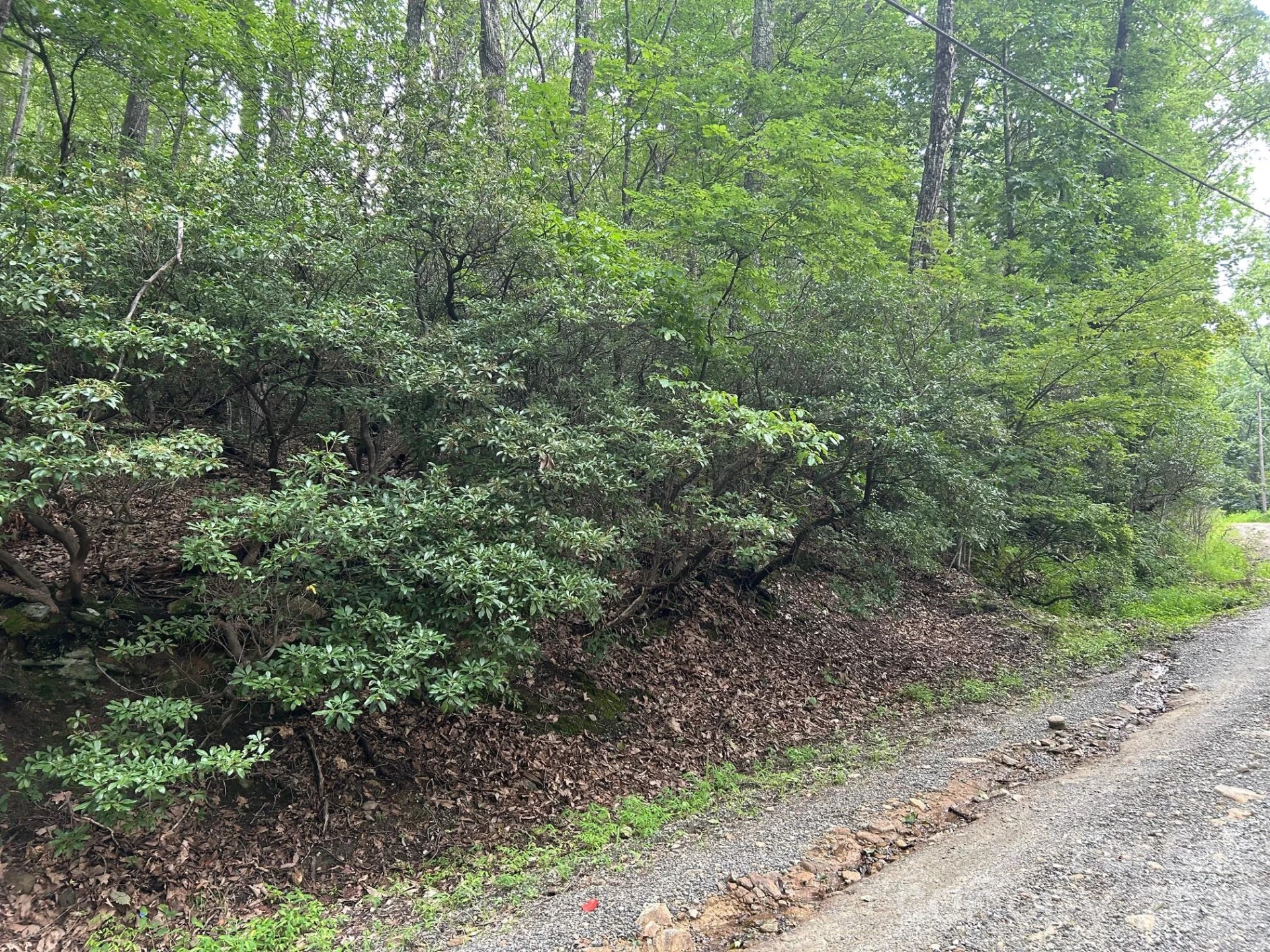 0 Pine Ridge Road #21 - Photo 6