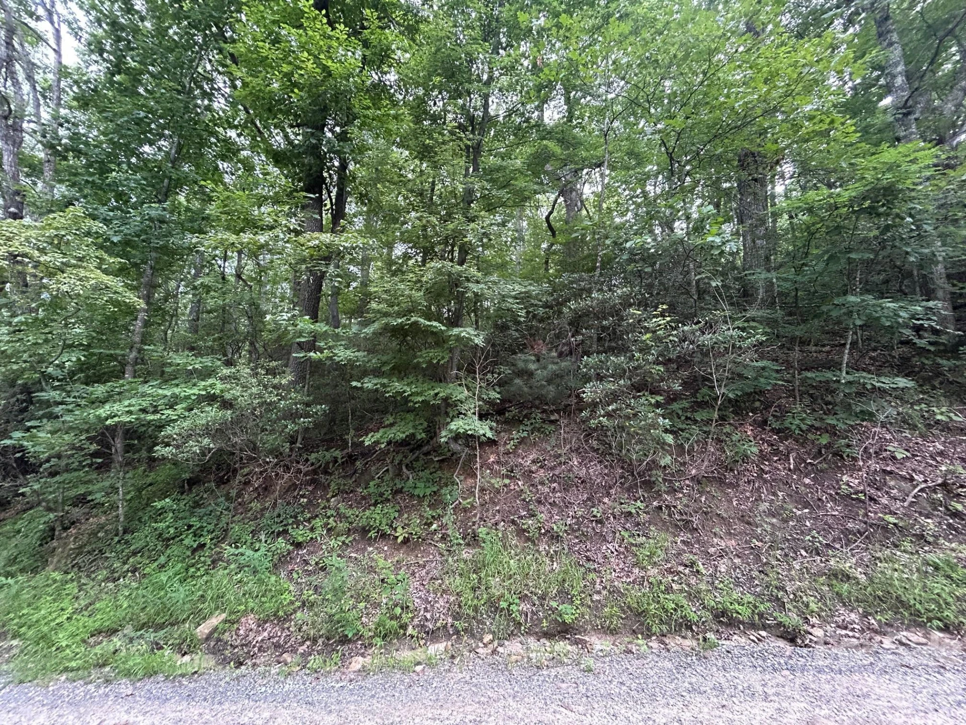 0 Pine Ridge Road #21 - Photo 8