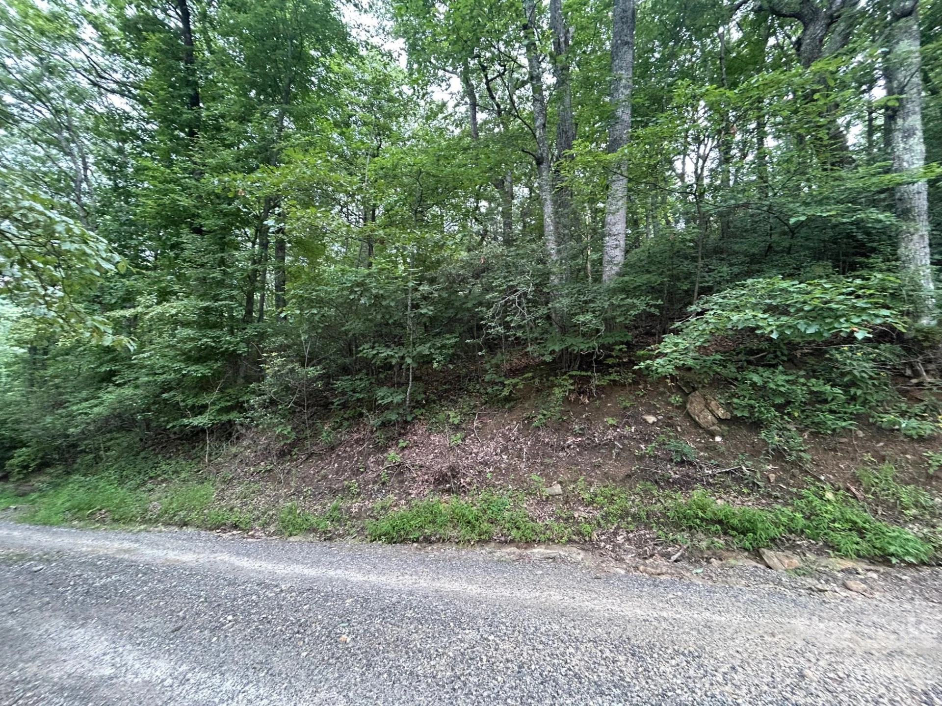 0 Pine Ridge Road #21 - Photo 9