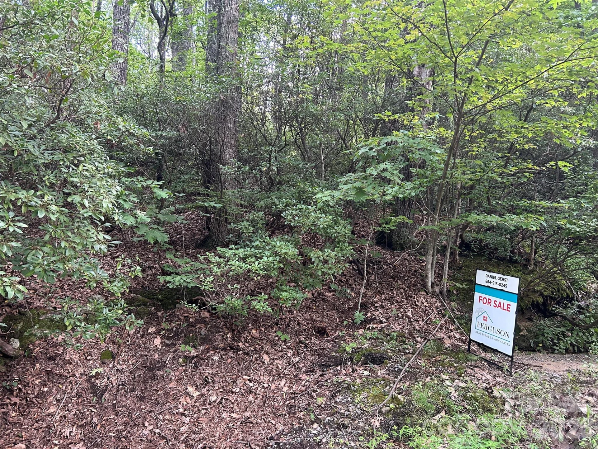 0 Pine Ridge Road #21 - Photo 11