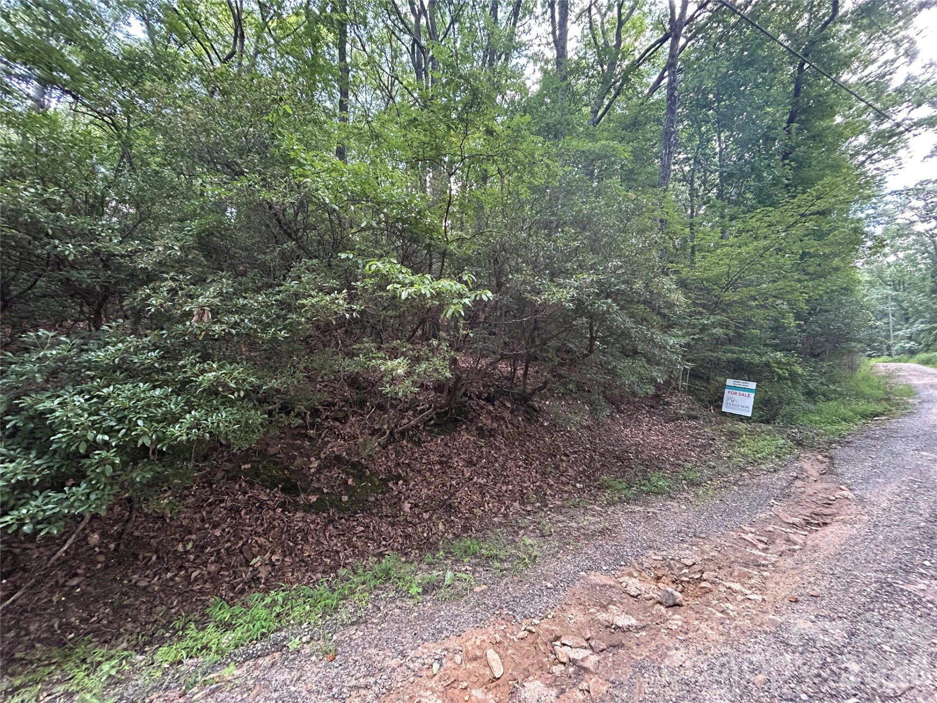 0 Pine Ridge Road #21 - Photo 12