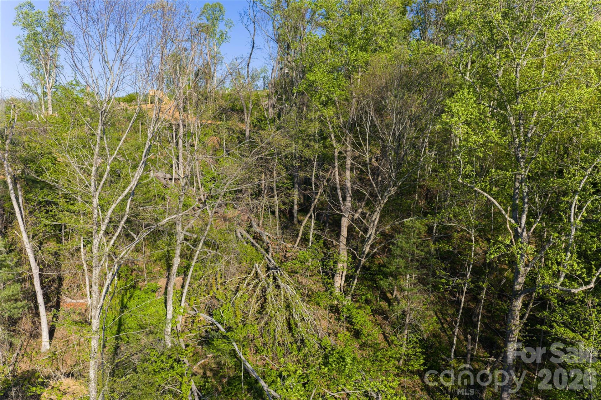 99999 Elk Mountain Scenic Highway #1 - Photo 37