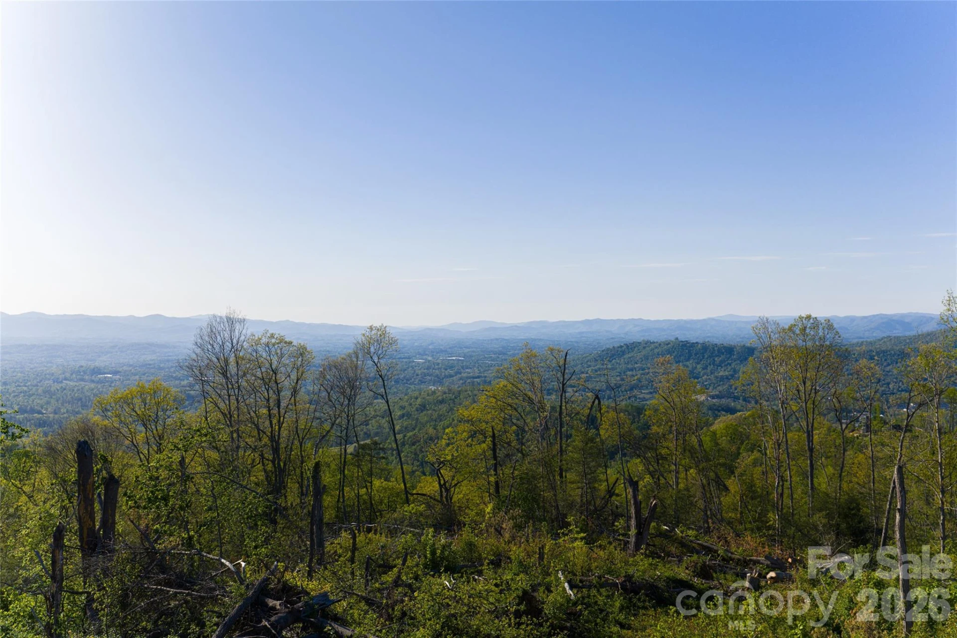 99999 Elk Mountain Scenic Highway #1 - Photo 39