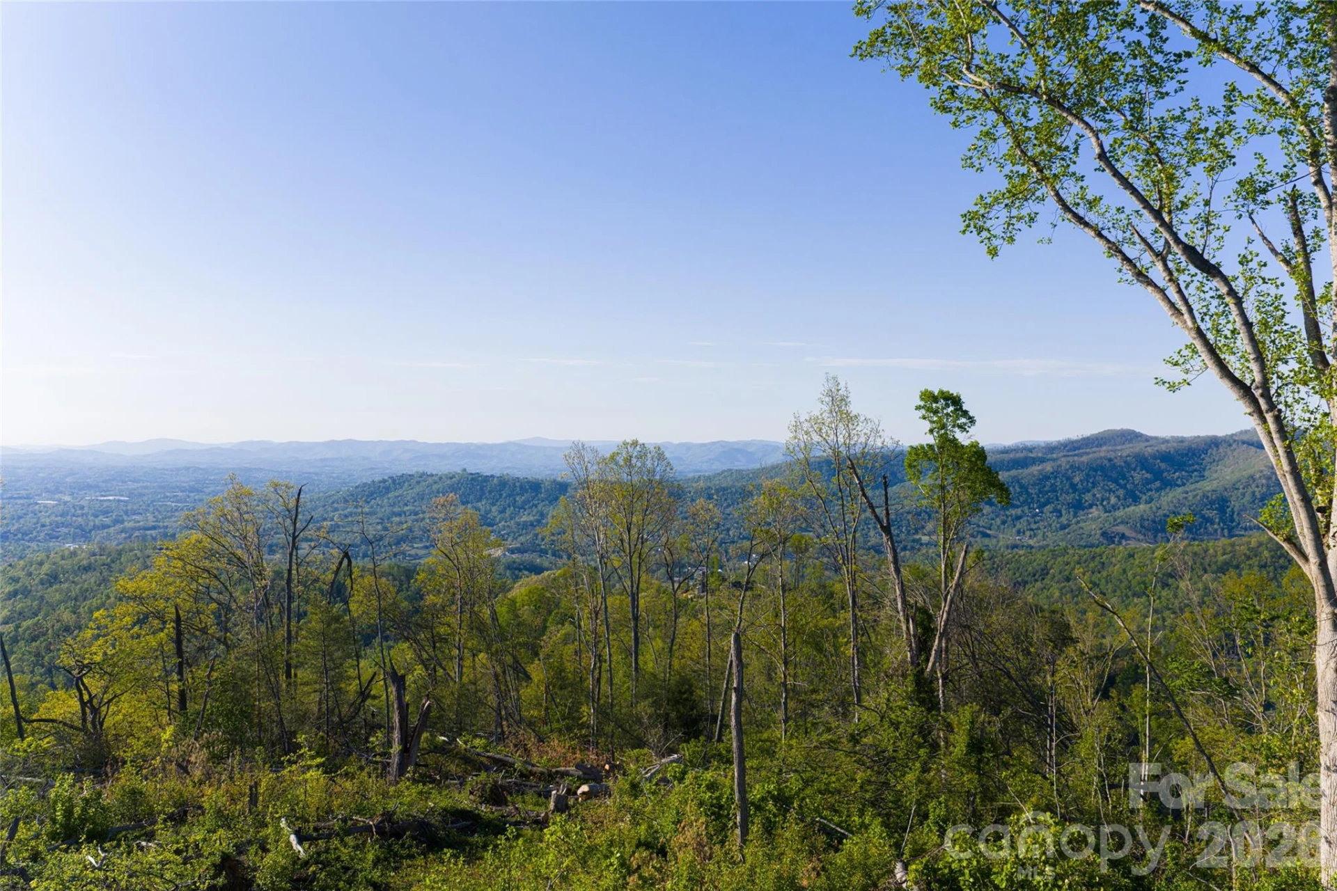 99999 Elk Mountain Scenic Highway #1 - Photo 40