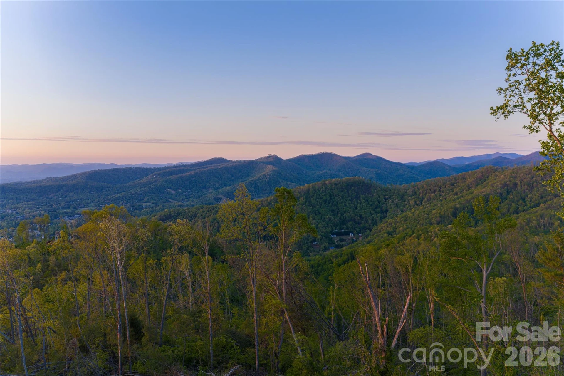 99999 Elk Mountain Scenic Highway #1 - Photo 8
