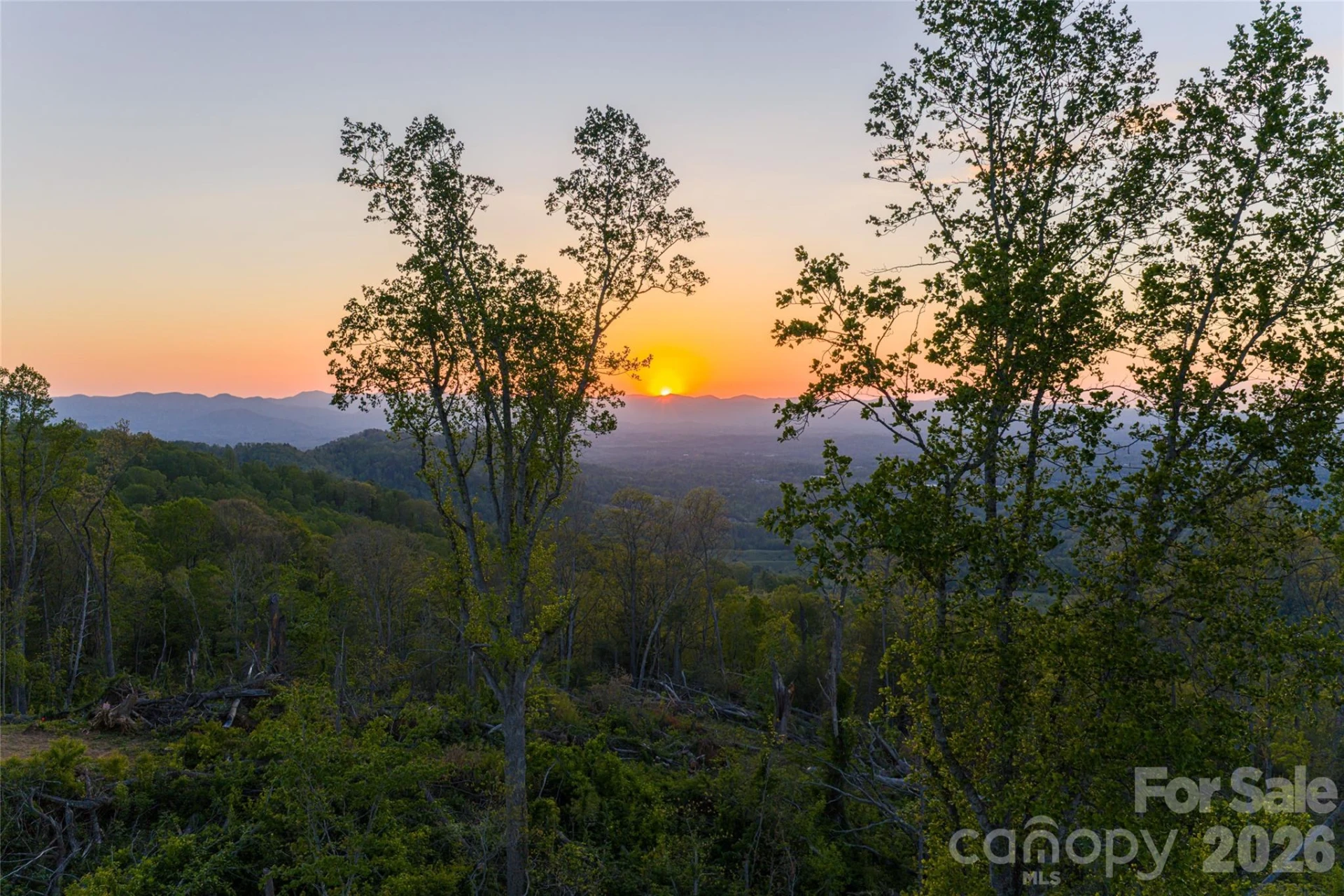 99999 Elk Mountain Scenic Highway #1 - Photo 12