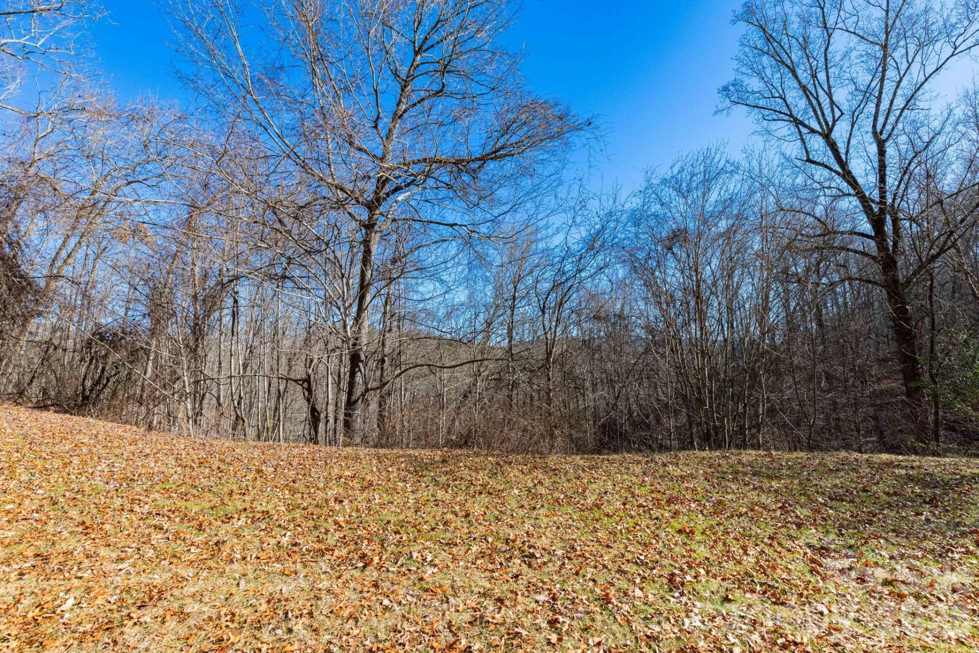 143 Hubert Mccall Drive - Photo 21