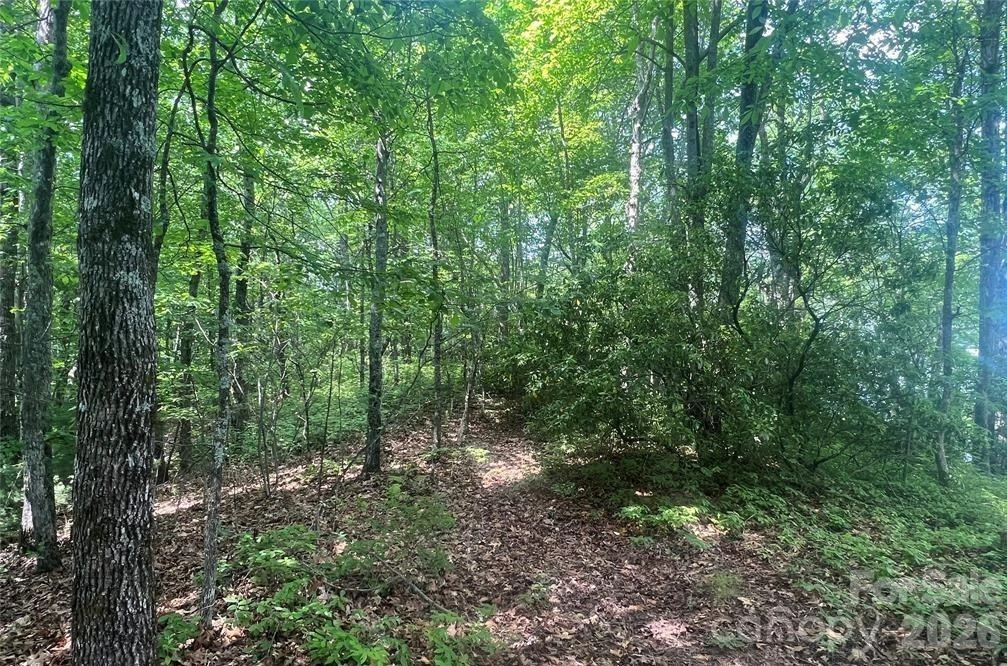 Lot 10 Joshua Road - Photo 12